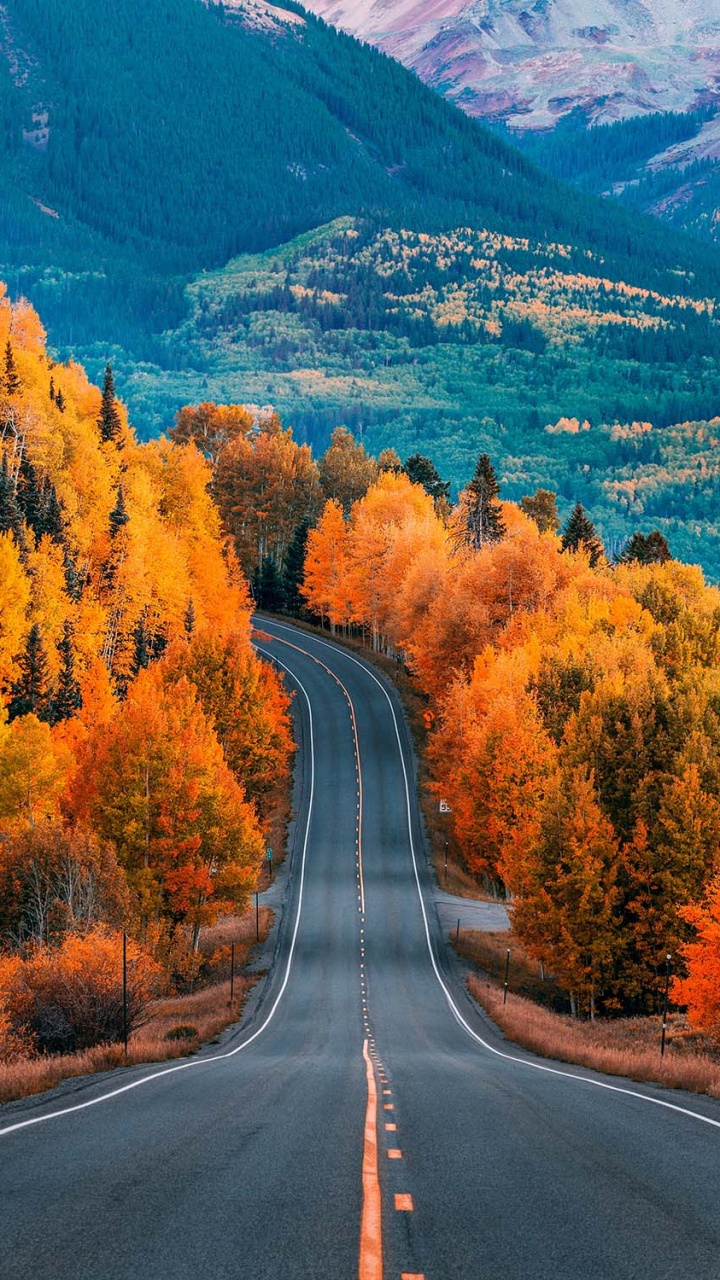Nature, Natural Landscape, Road, Landscape, Landscape Painting. Wallpaper in 720x1280 Resolution