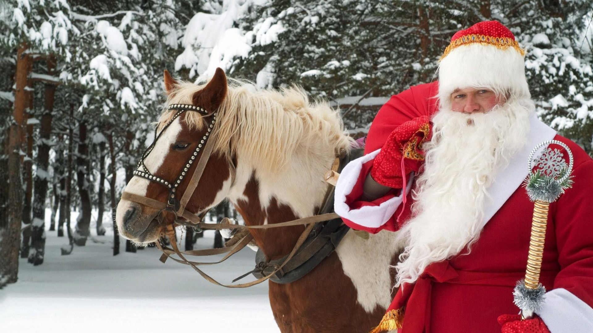 Horse Harness, Christmas, Bridle, Snow, Horse Tack. Wallpaper in 1920x1080 Resolution