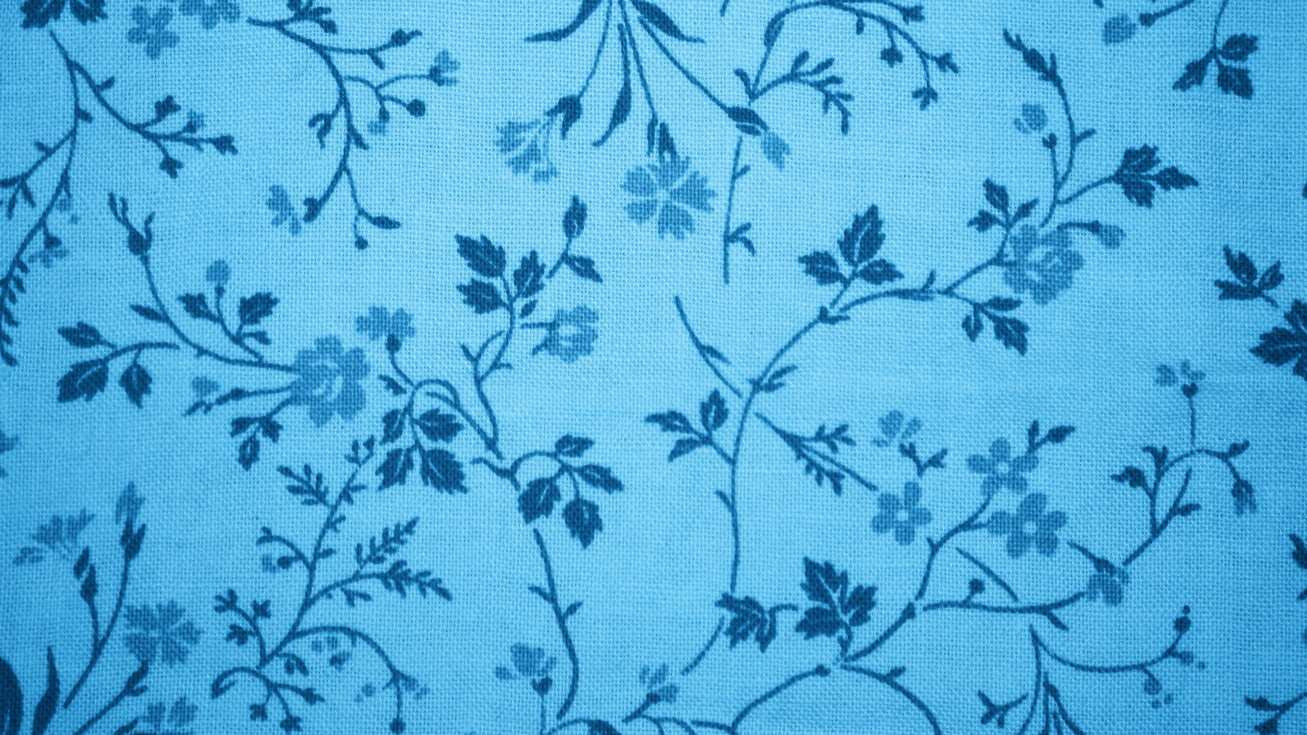 Textil Floral Azul y Blanco. Wallpaper in 2560x1440 Resolution