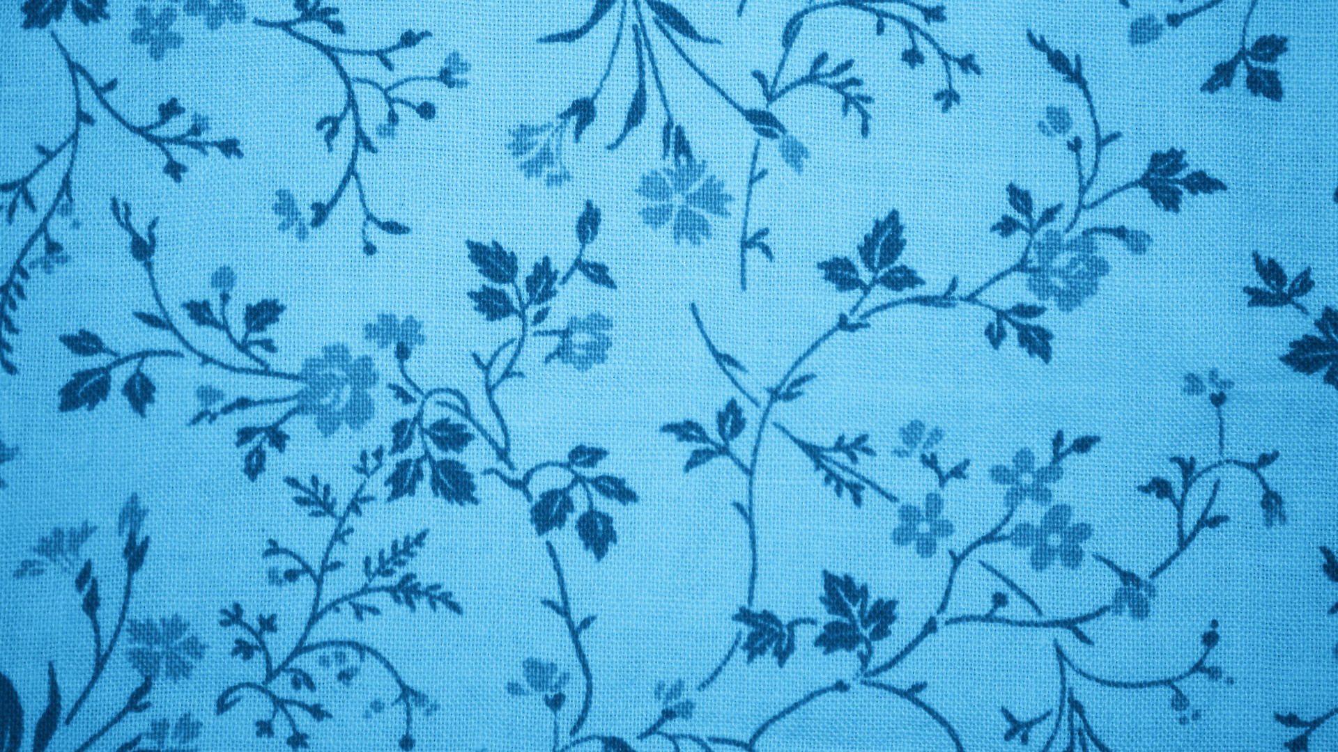 Blau-weißes Florales Textil. Wallpaper in 1920x1080 Resolution
