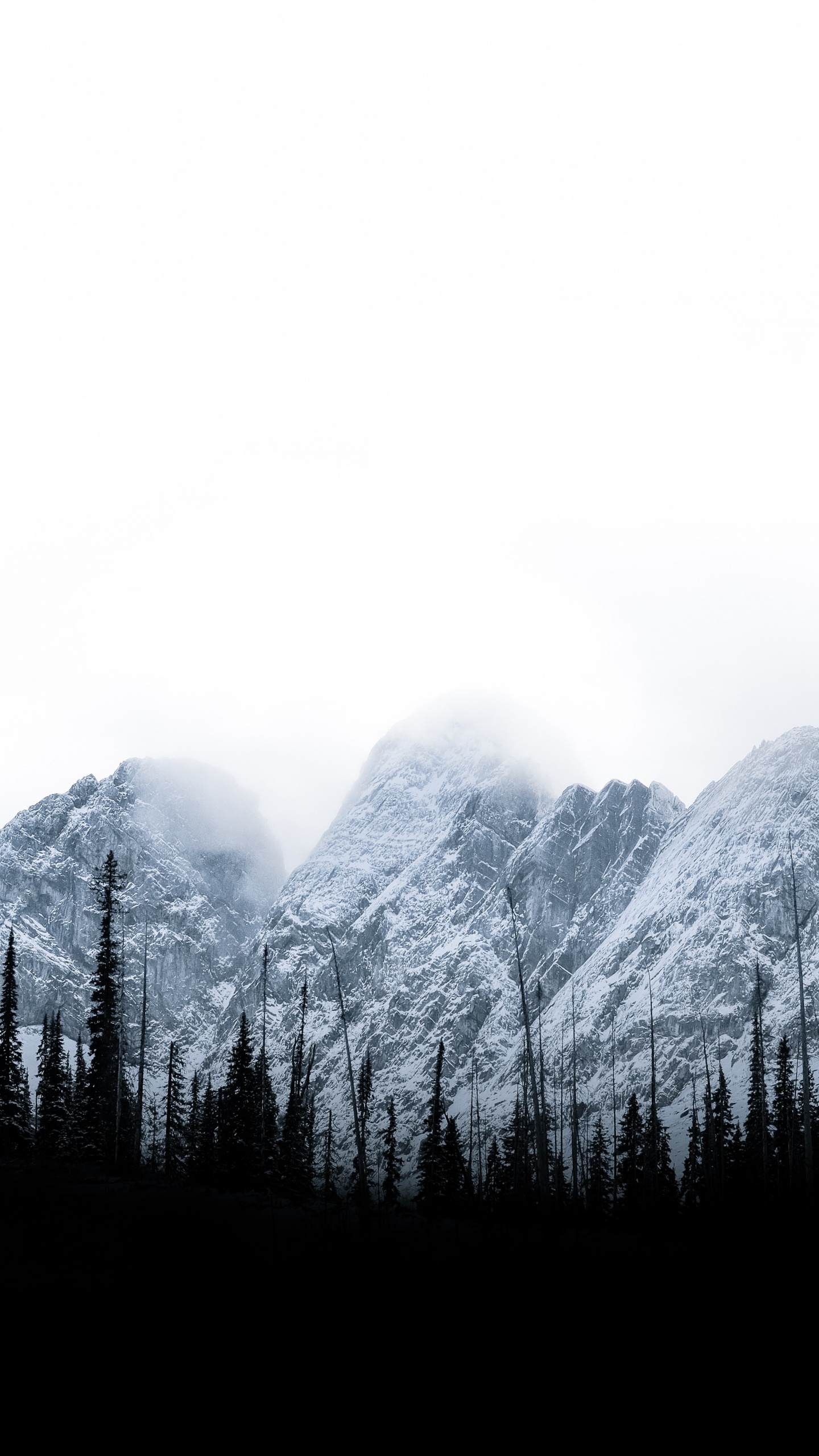 Baum, Natur, Himmel, Bergigen Landschaftsformen, Mount Scenery. Wallpaper in 1440x2560 Resolution
