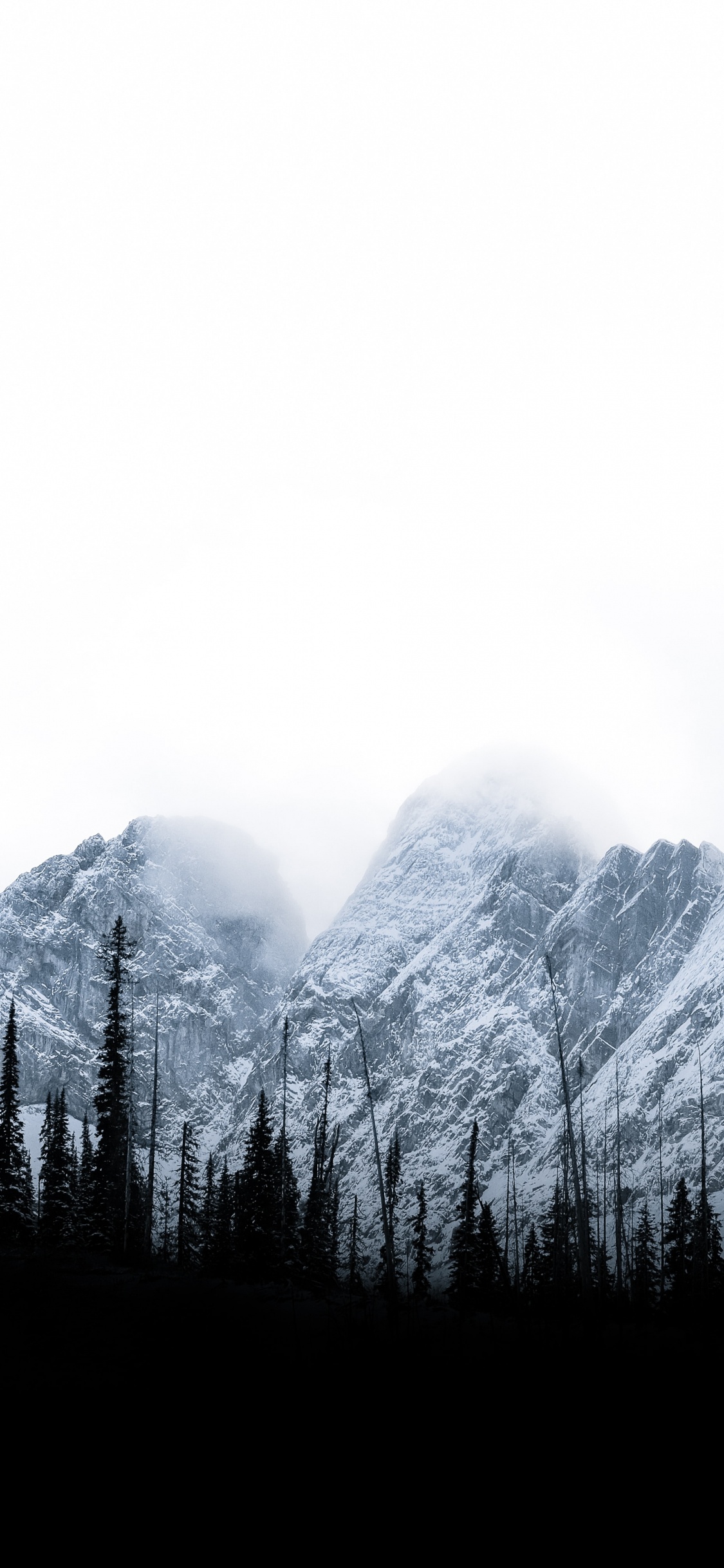 Tree, Nature, Sky, Mountainous Landforms, Brown Mountain. Wallpaper in 1125x2436 Resolution