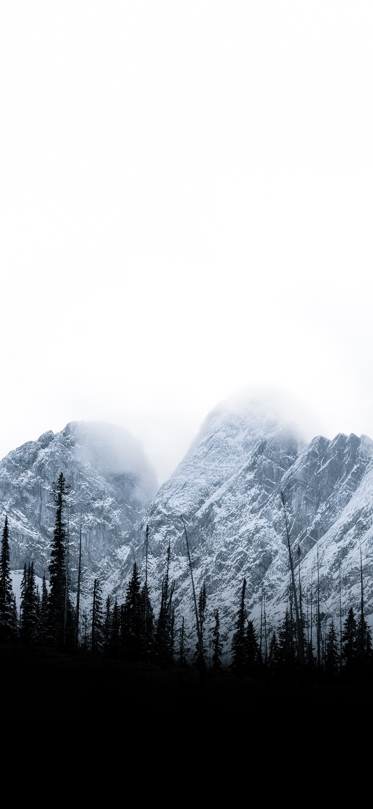 Tree, Nature, Sky, Mountainous Landforms, Brown Mountain. Wallpaper in 1242x2688 Resolution