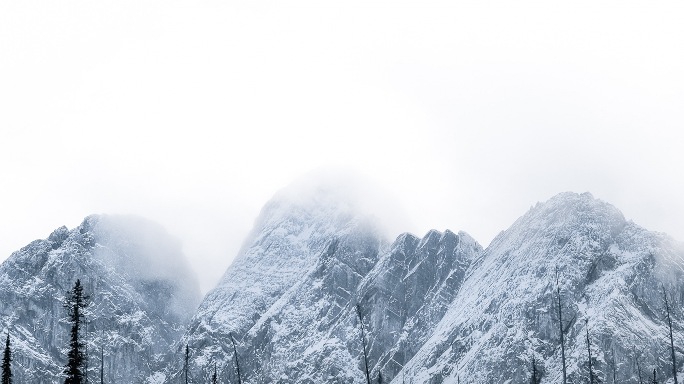 Tree, Nature, Sky, Mountainous Landforms, Brown Mountain. Wallpaper in 1366x768 Resolution