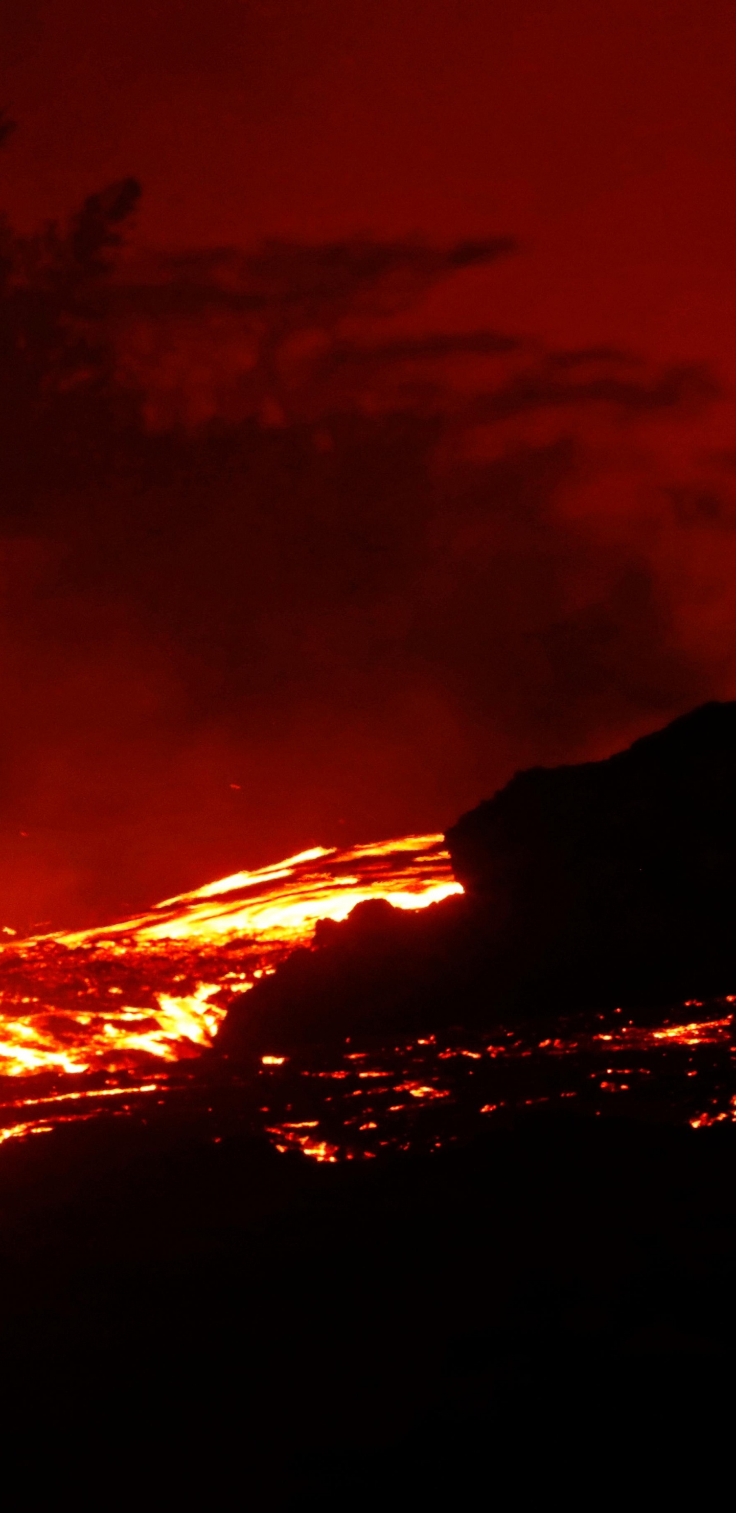 Feu Dans la Forêt Pendant la Nuit. Wallpaper in 1440x2960 Resolution
