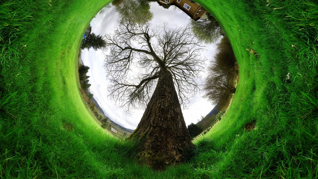 Campo de Hierba Verde Con Arboles. Wallpaper in 1280x720 Resolution