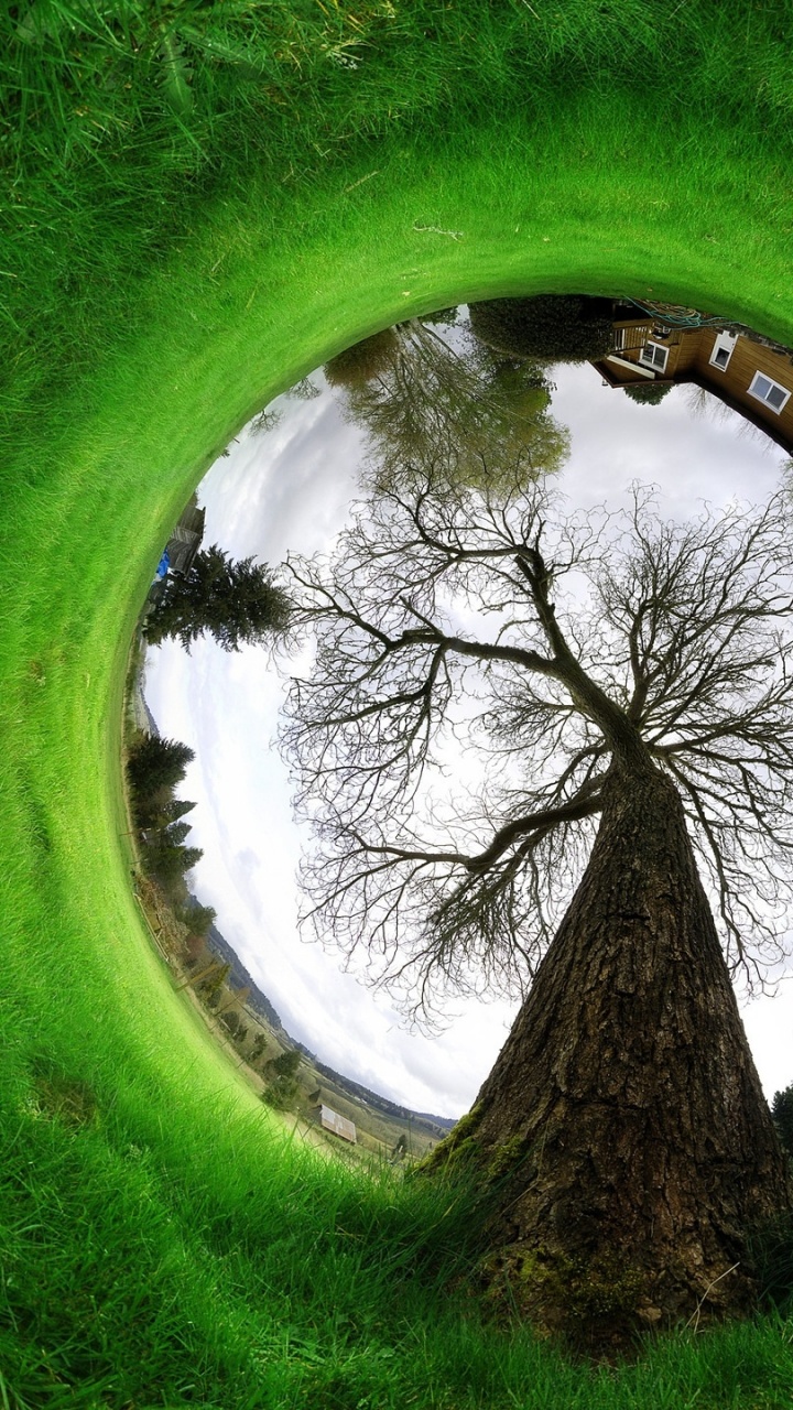 Green Grass Field With Trees. Wallpaper in 720x1280 Resolution