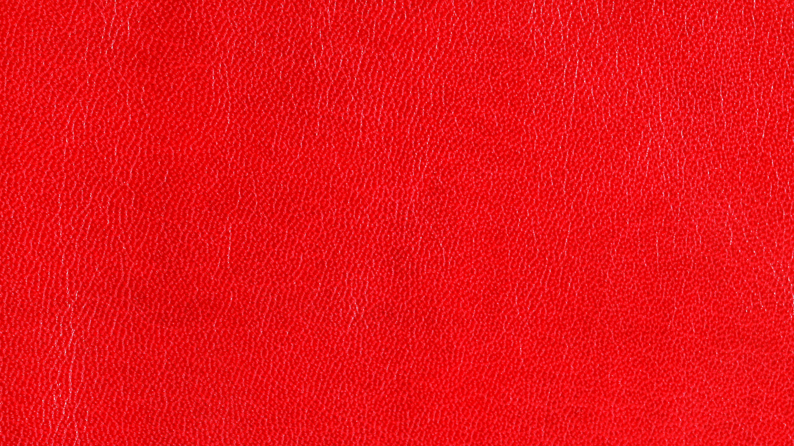 Textil Rojo en Fotografía de Cerca. Wallpaper in 2560x1440 Resolution