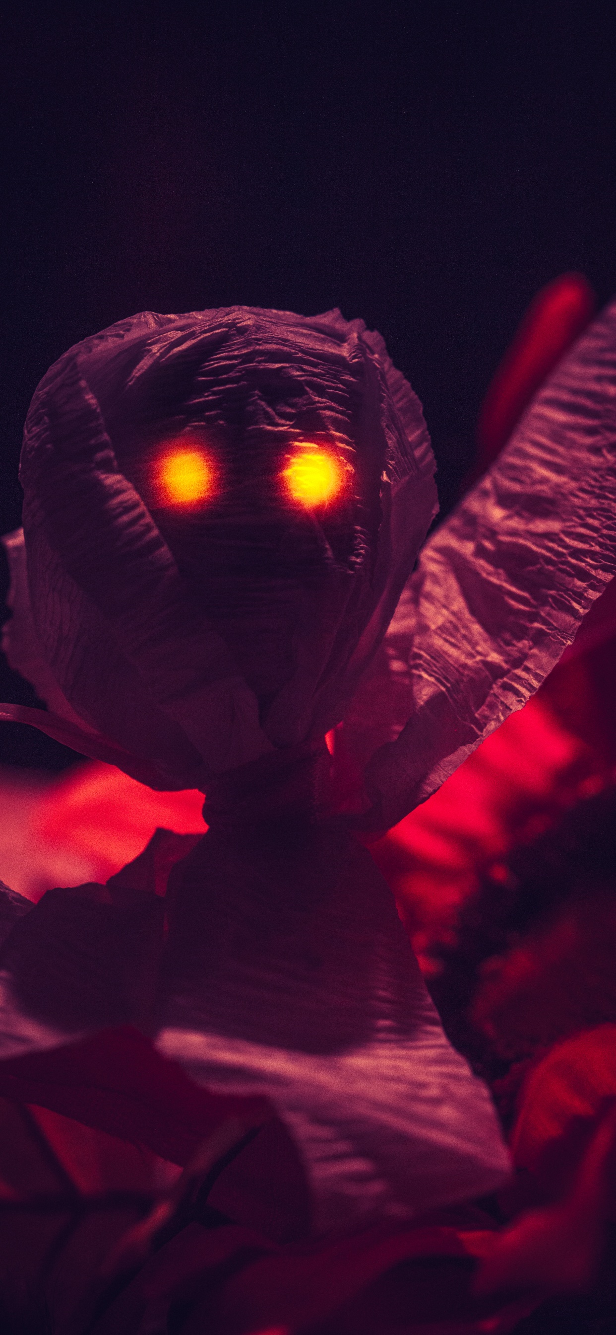 Person in Red Long Sleeve Shirt Holding Lighted Lantern. Wallpaper in 1242x2688 Resolution