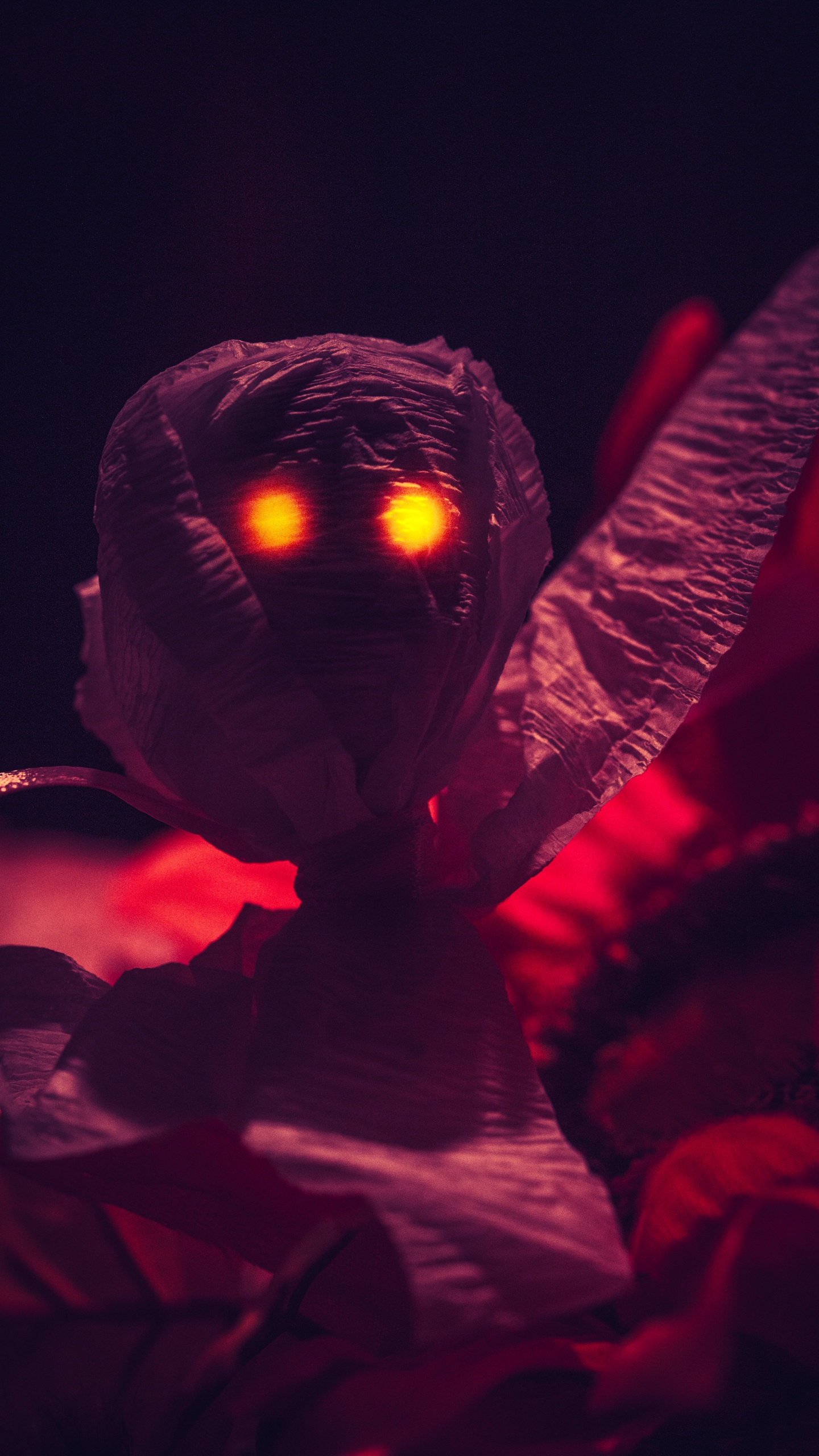 Person in Red Long Sleeve Shirt Holding Lighted Lantern. Wallpaper in 1440x2560 Resolution