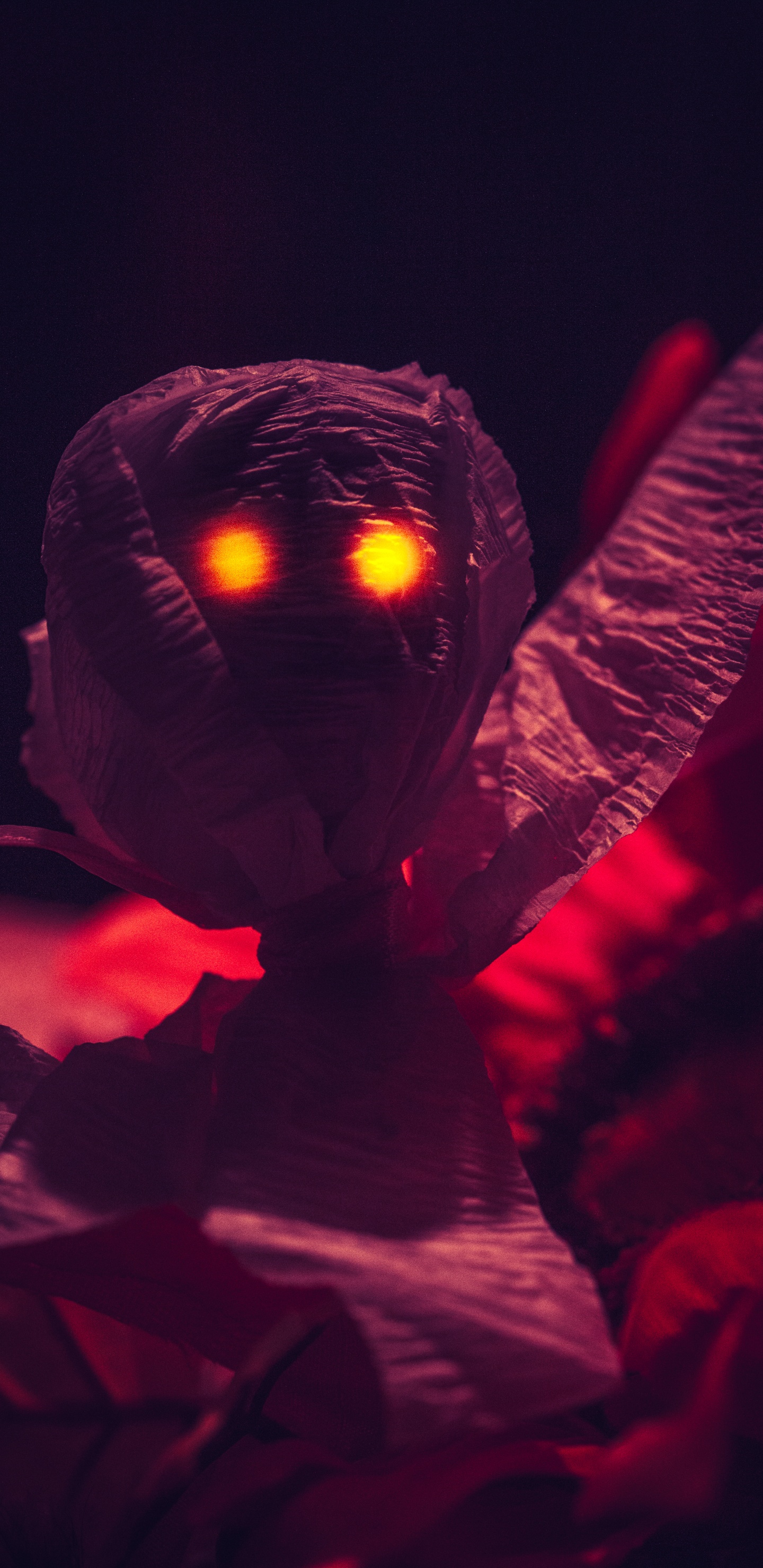 Person in Red Long Sleeve Shirt Holding Lighted Lantern. Wallpaper in 1440x2960 Resolution