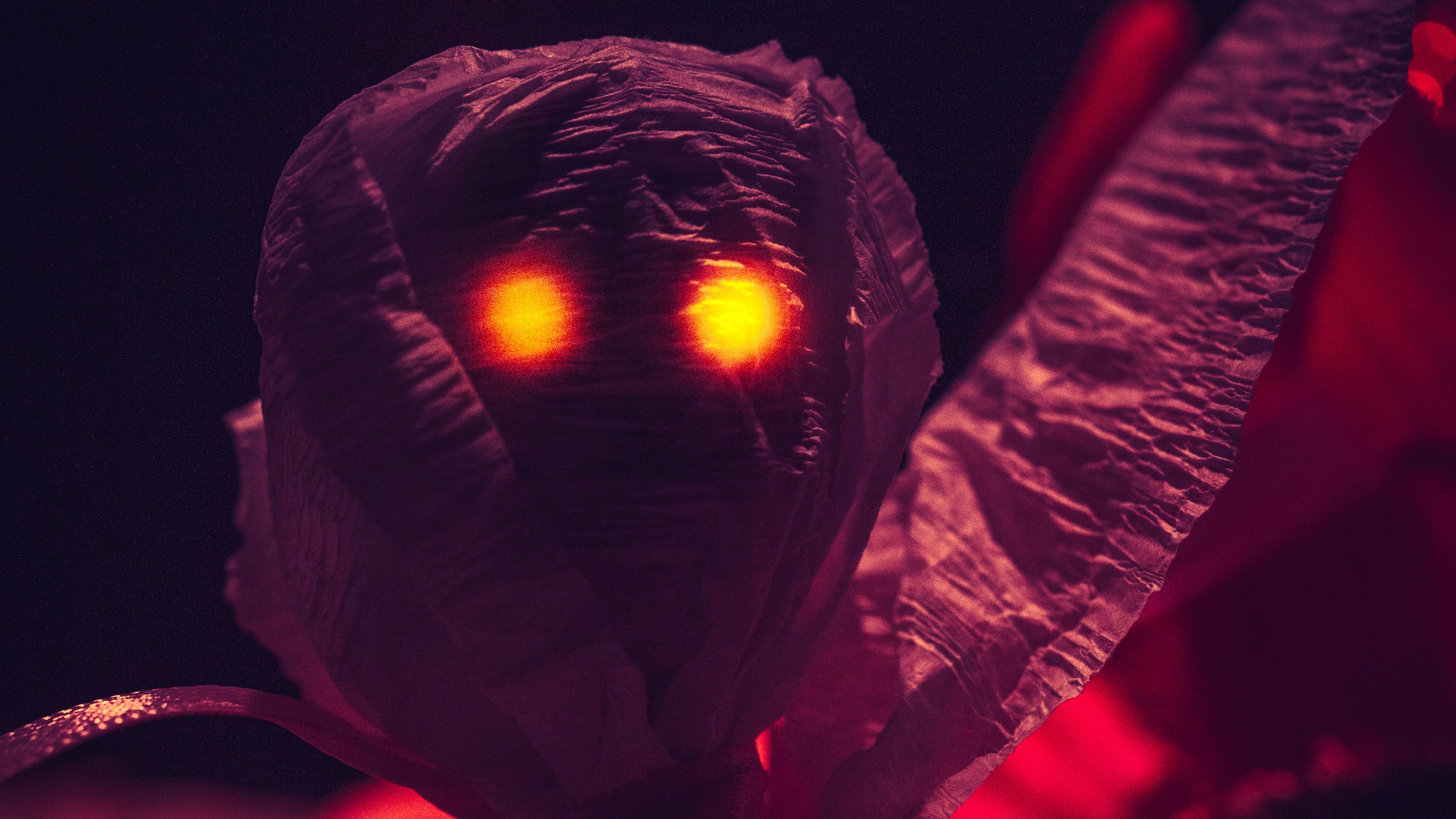 Person in Red Long Sleeve Shirt Holding Lighted Lantern. Wallpaper in 2560x1440 Resolution