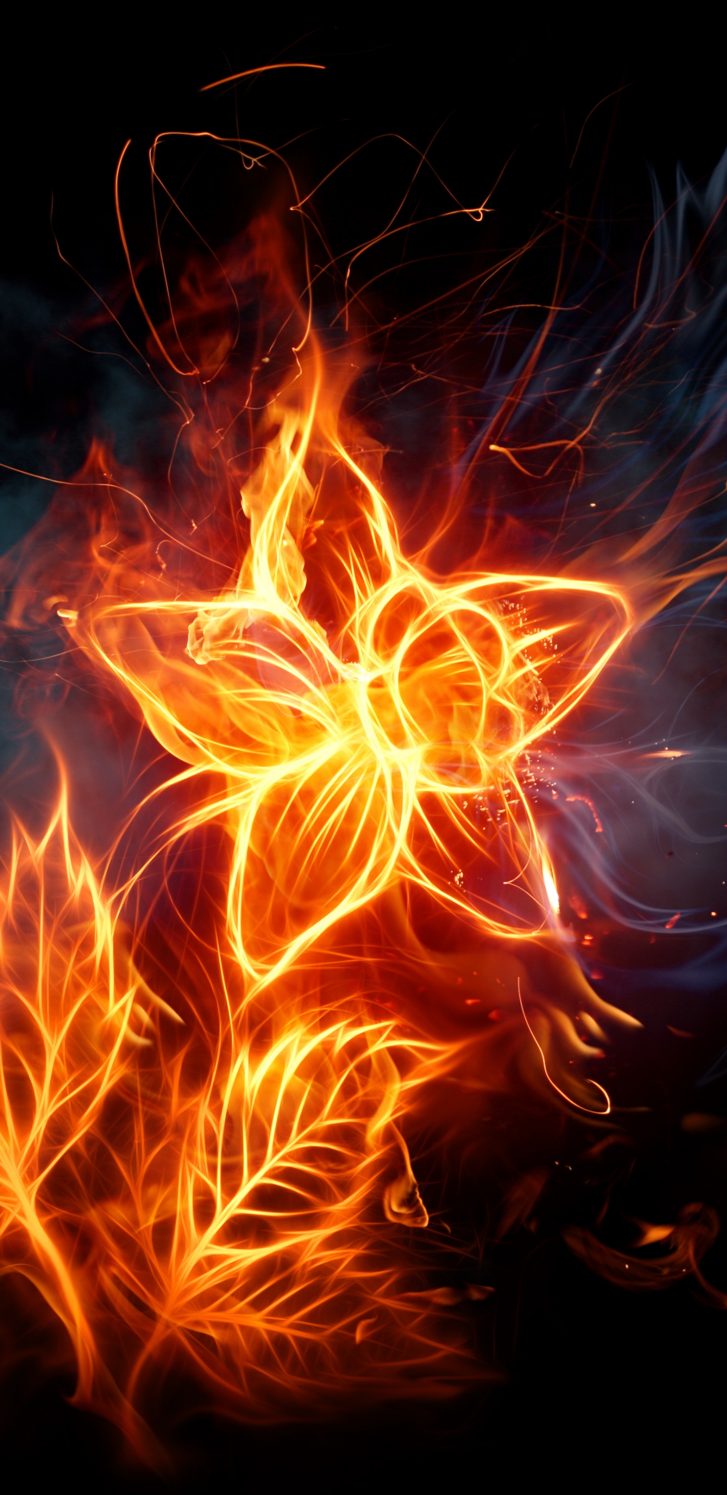 Fuego Naranja y Rojo en la Oscuridad. Wallpaper in 1440x2960 Resolution