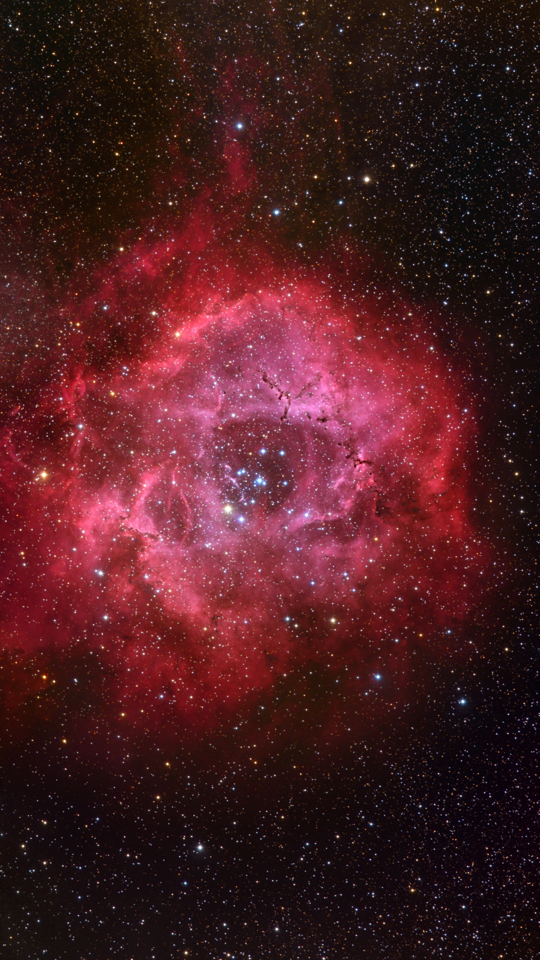 Rote Und Schwarze Galaxie Mit Sternen. Wallpaper in 1080x1920 Resolution