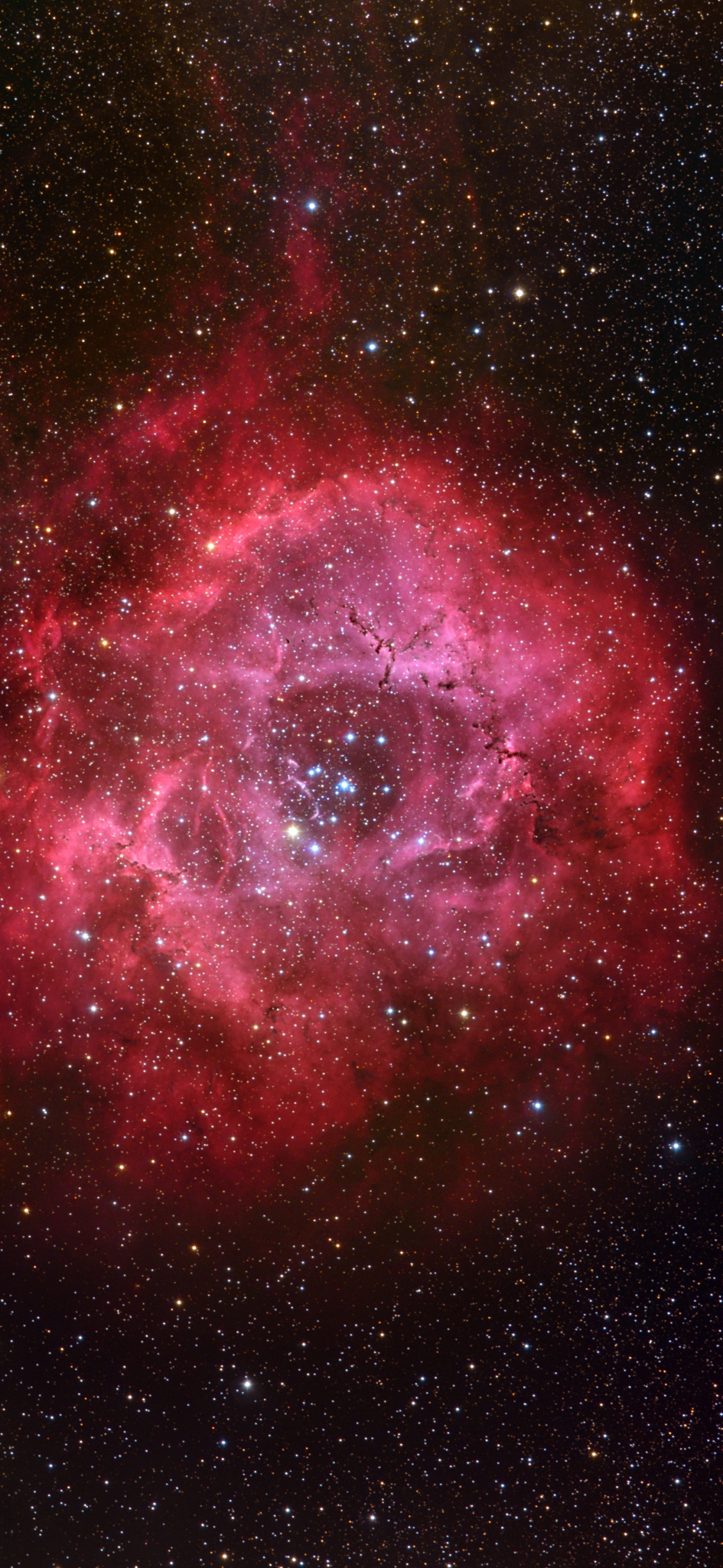 Rote Und Schwarze Galaxie Mit Sternen. Wallpaper in 1125x2436 Resolution