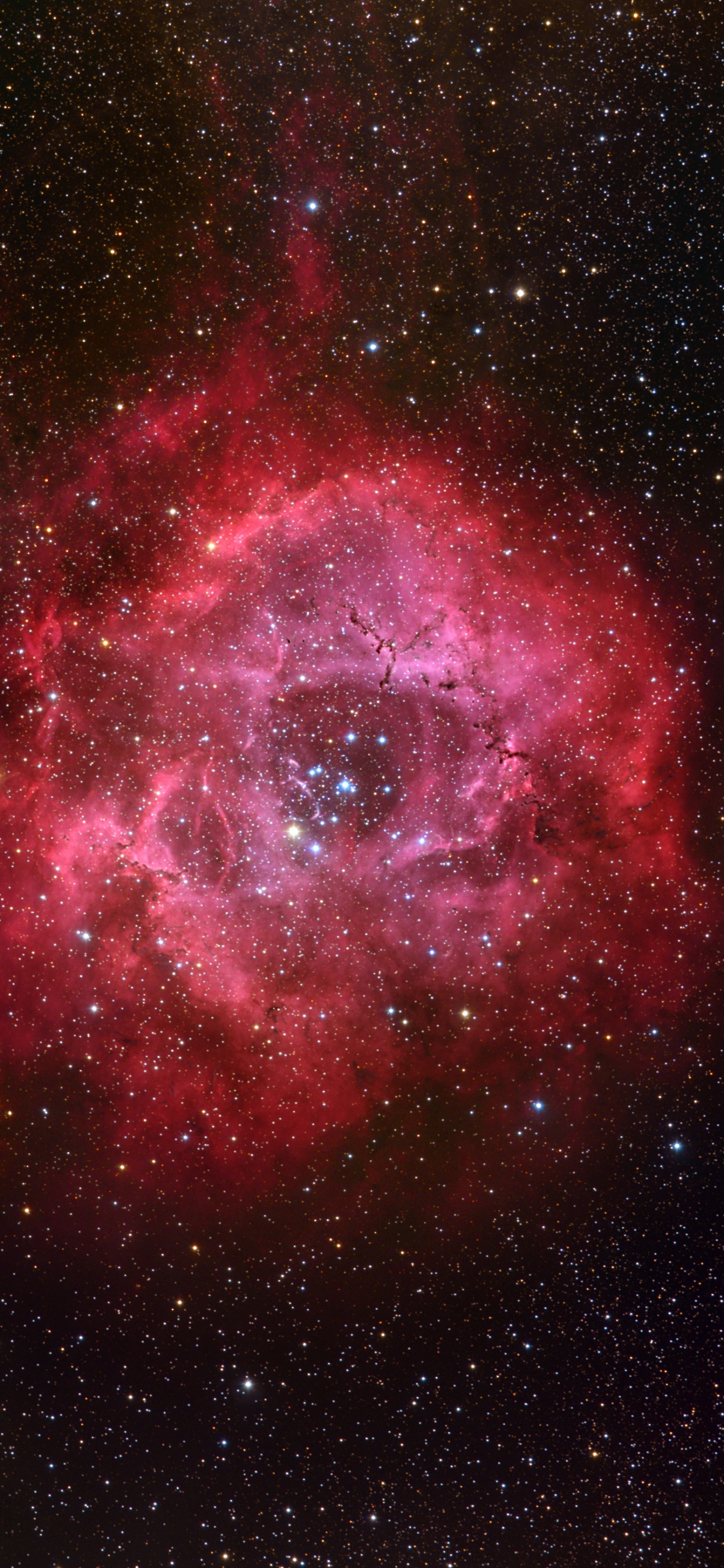 Rote Und Schwarze Galaxie Mit Sternen. Wallpaper in 1242x2688 Resolution