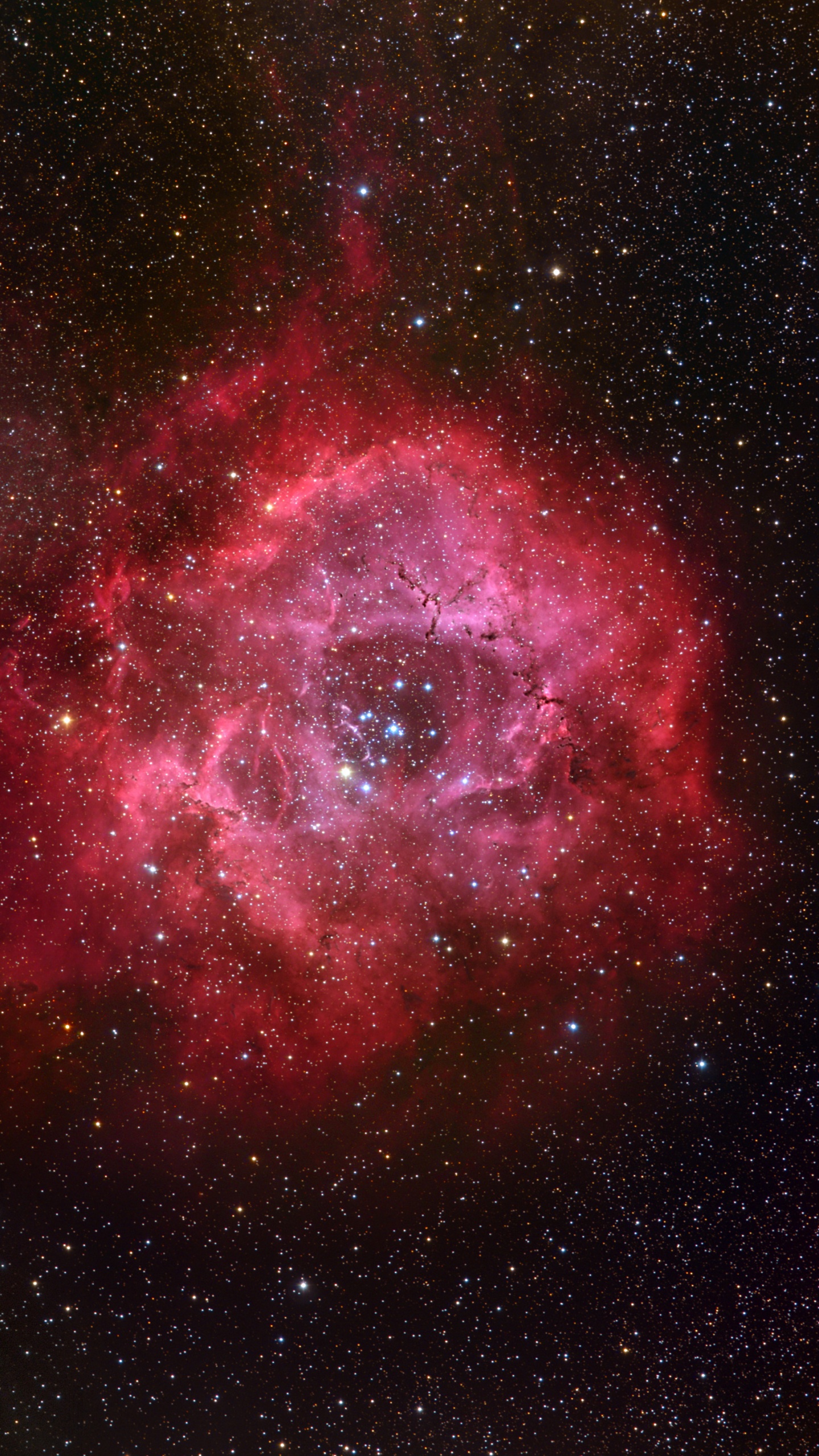 Rote Und Schwarze Galaxie Mit Sternen. Wallpaper in 1440x2560 Resolution