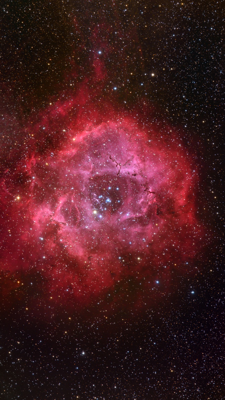 Rote Und Schwarze Galaxie Mit Sternen. Wallpaper in 720x1280 Resolution