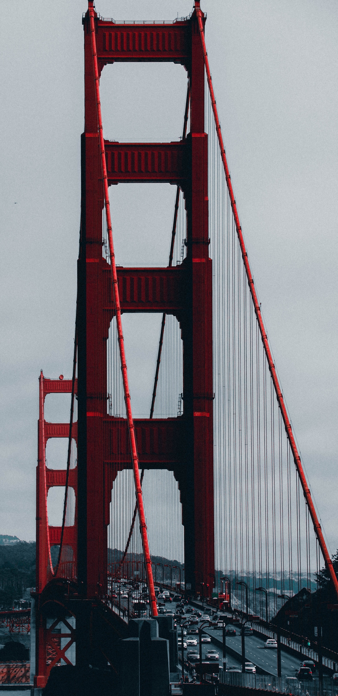 Puente Golden Gate San Francisco. Wallpaper in 1440x2960 Resolution