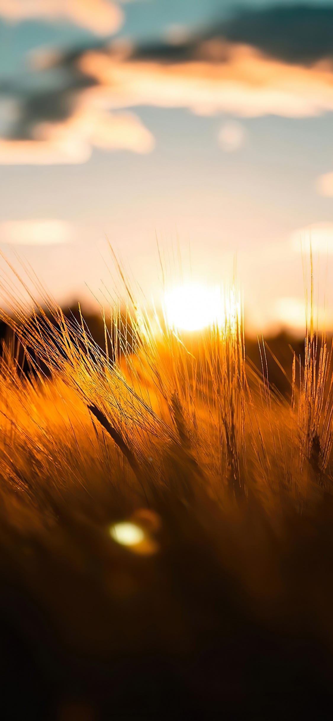 Paysage Naturel, Afterglow, Lever. Wallpaper in 1125x2436 Resolution