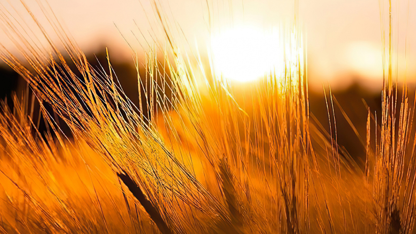 Paysage Naturel, Afterglow, Lever. Wallpaper in 1366x768 Resolution