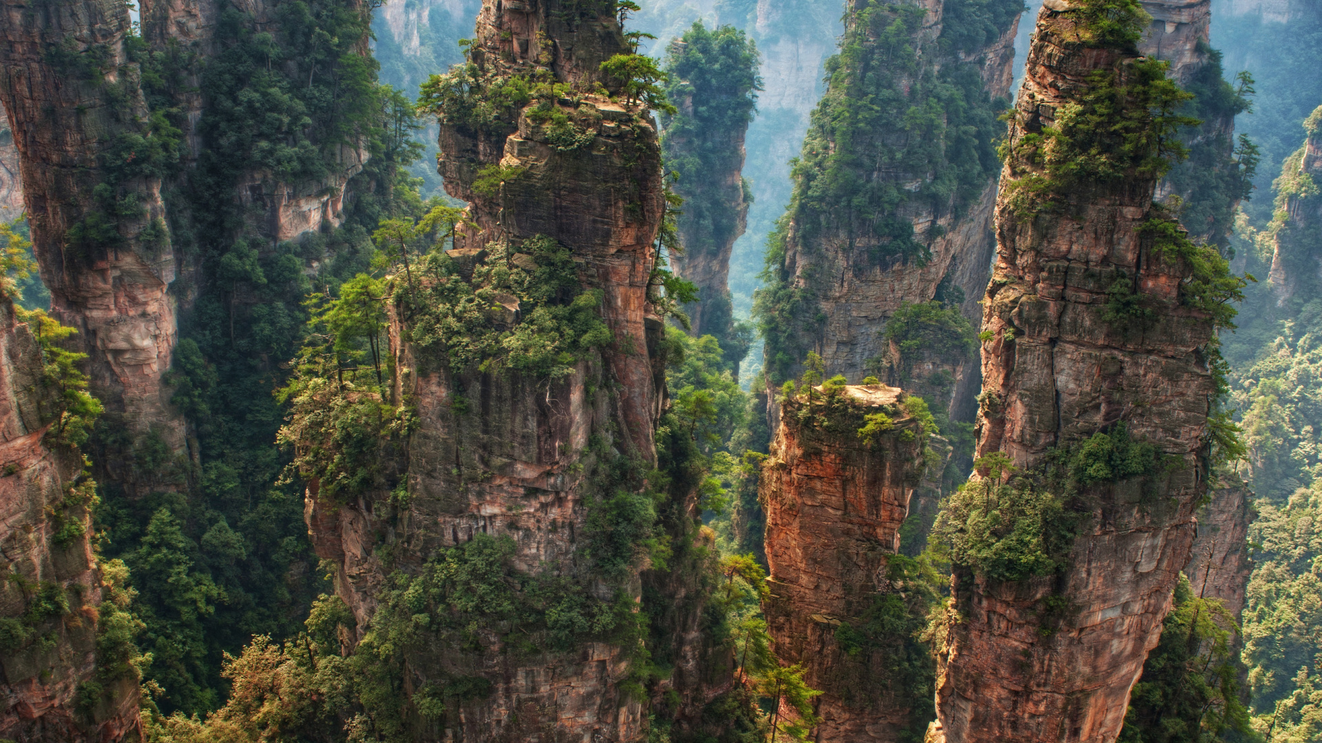 Montagne Rocheuse Verte et Brune. Wallpaper in 1920x1080 Resolution