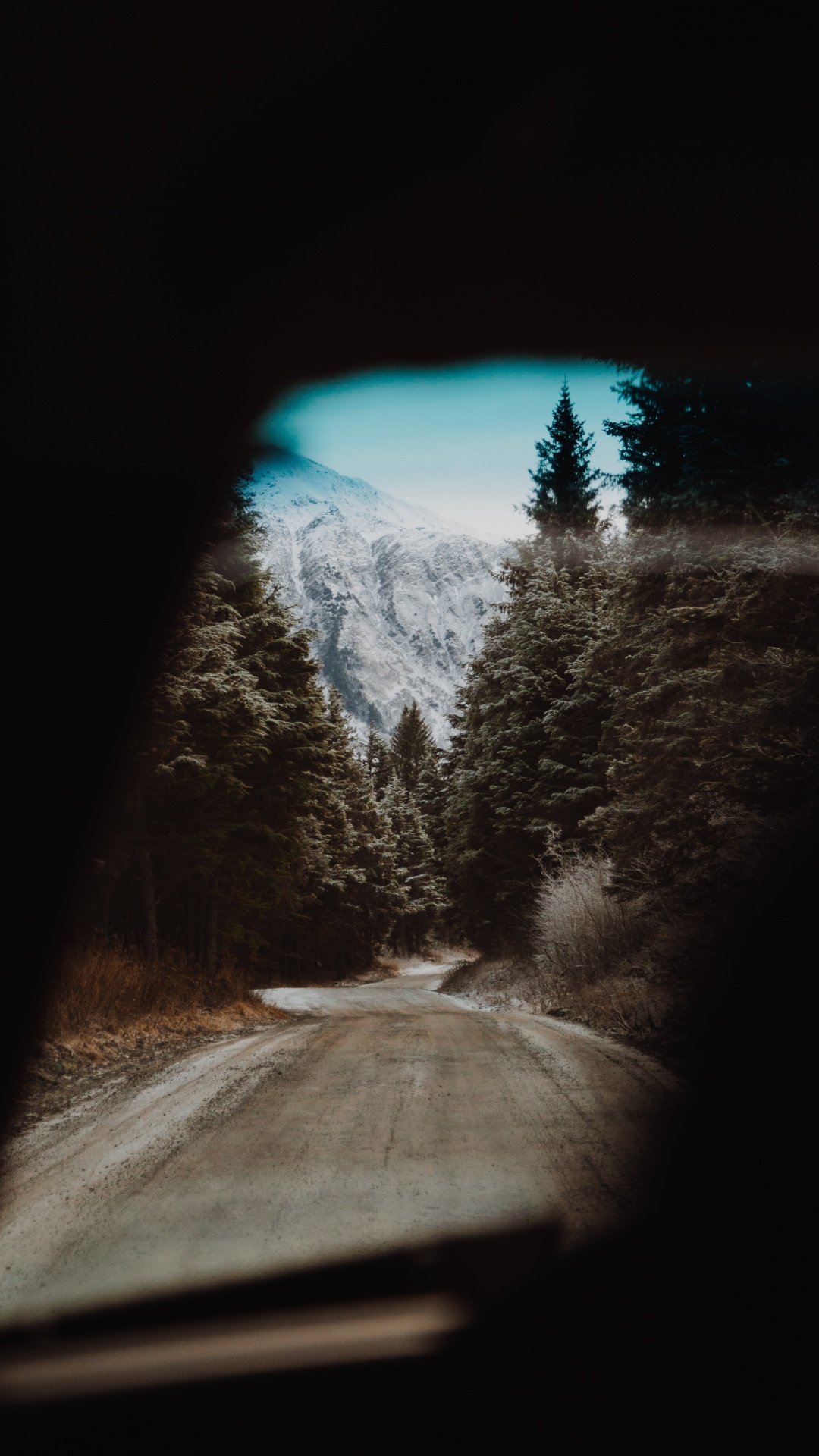 Schnee, Baum, Winter, Road, Infrastruktur. Wallpaper in 1080x1920 Resolution