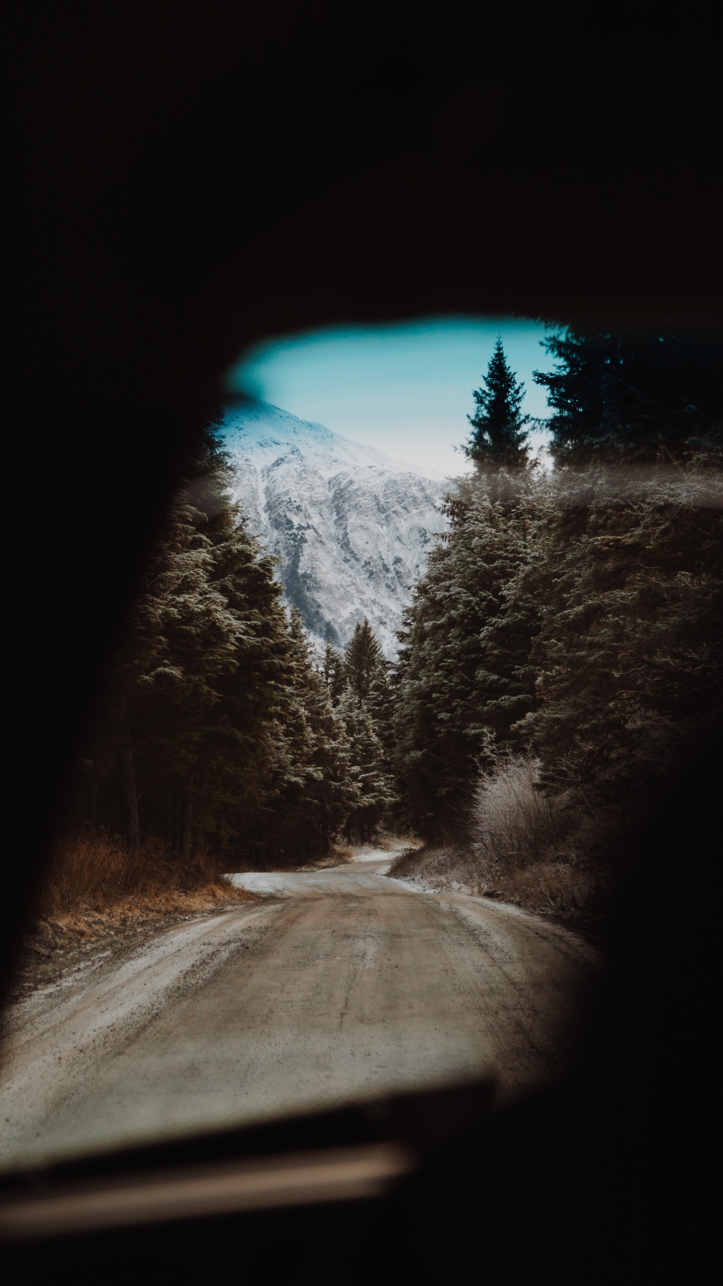 Snow, Tree, Winter, Darkness, Road. Wallpaper in 1440x2560 Resolution