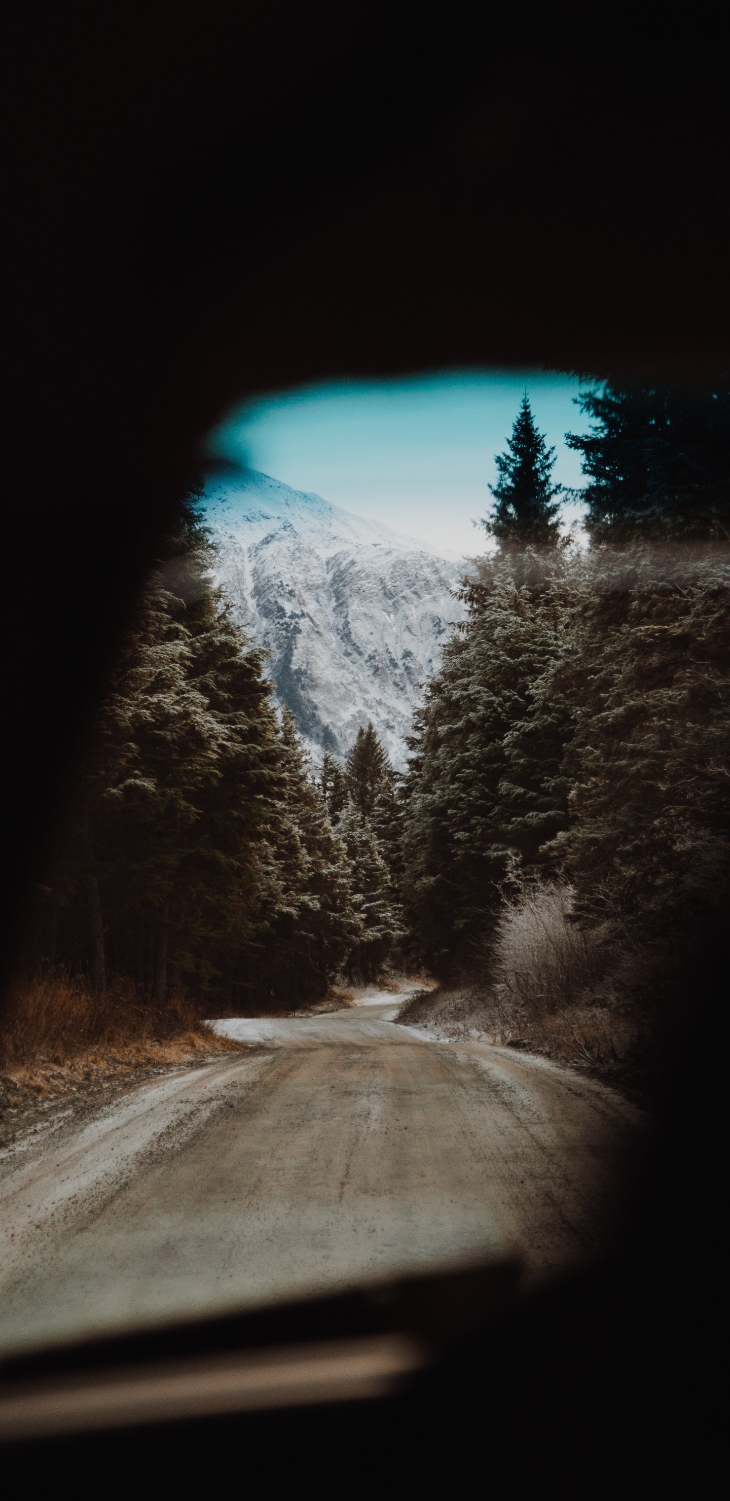 Snow, Tree, Winter, Darkness, Road. Wallpaper in 1440x2960 Resolution