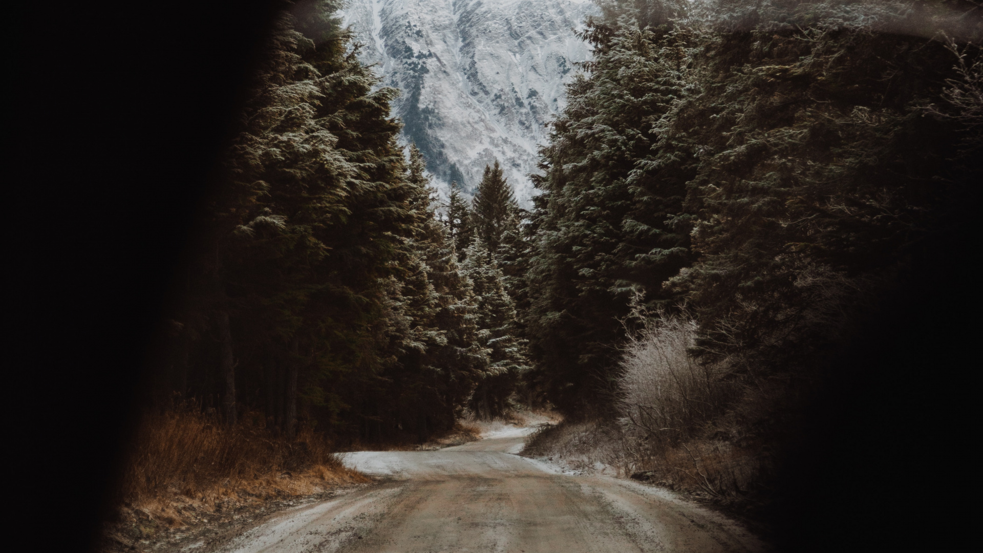 Snow, Tree, Winter, Darkness, Road. Wallpaper in 1920x1080 Resolution