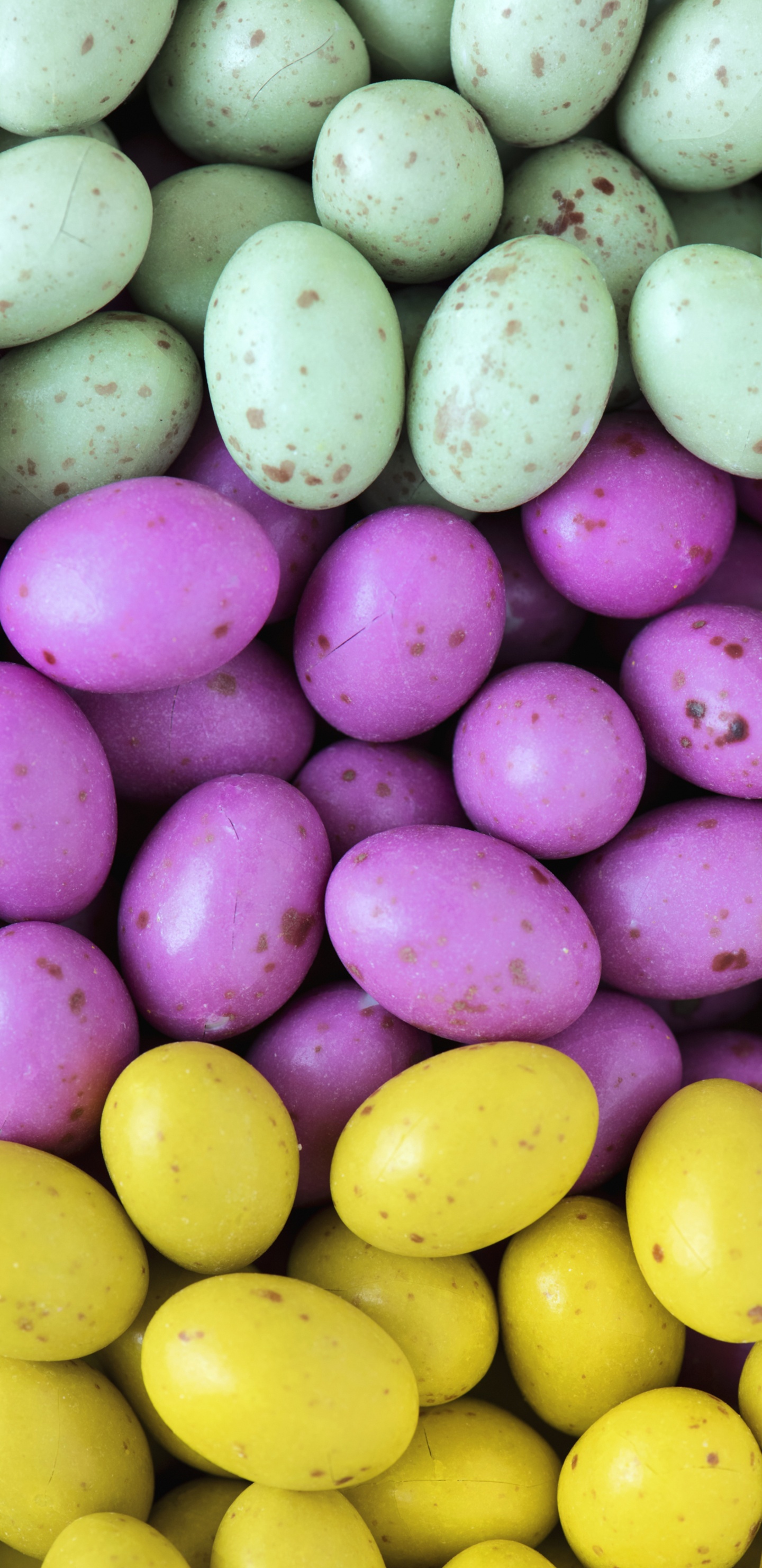 Gelbe Und Violette Runde Früchte. Wallpaper in 1440x2960 Resolution