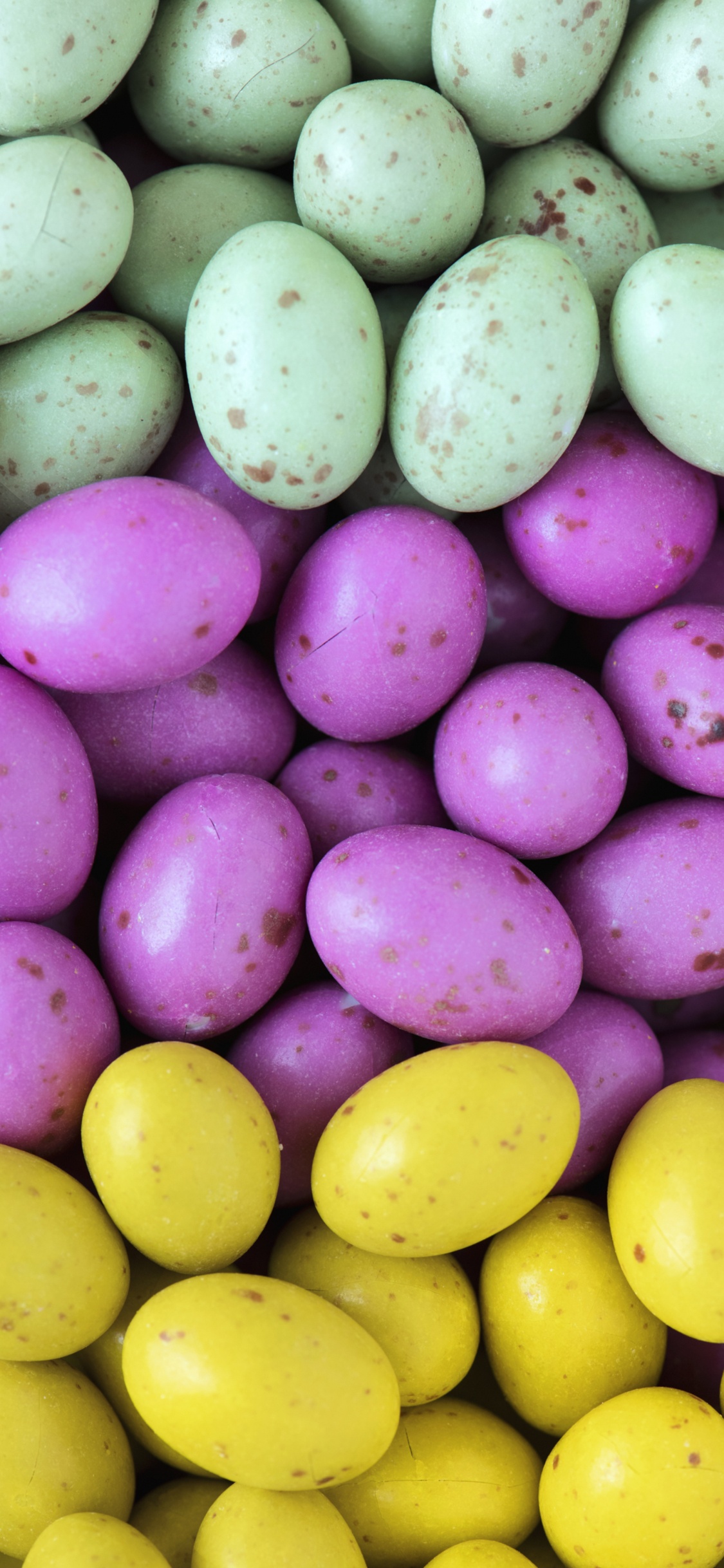 Yellow and Purple Round Fruits. Wallpaper in 1125x2436 Resolution