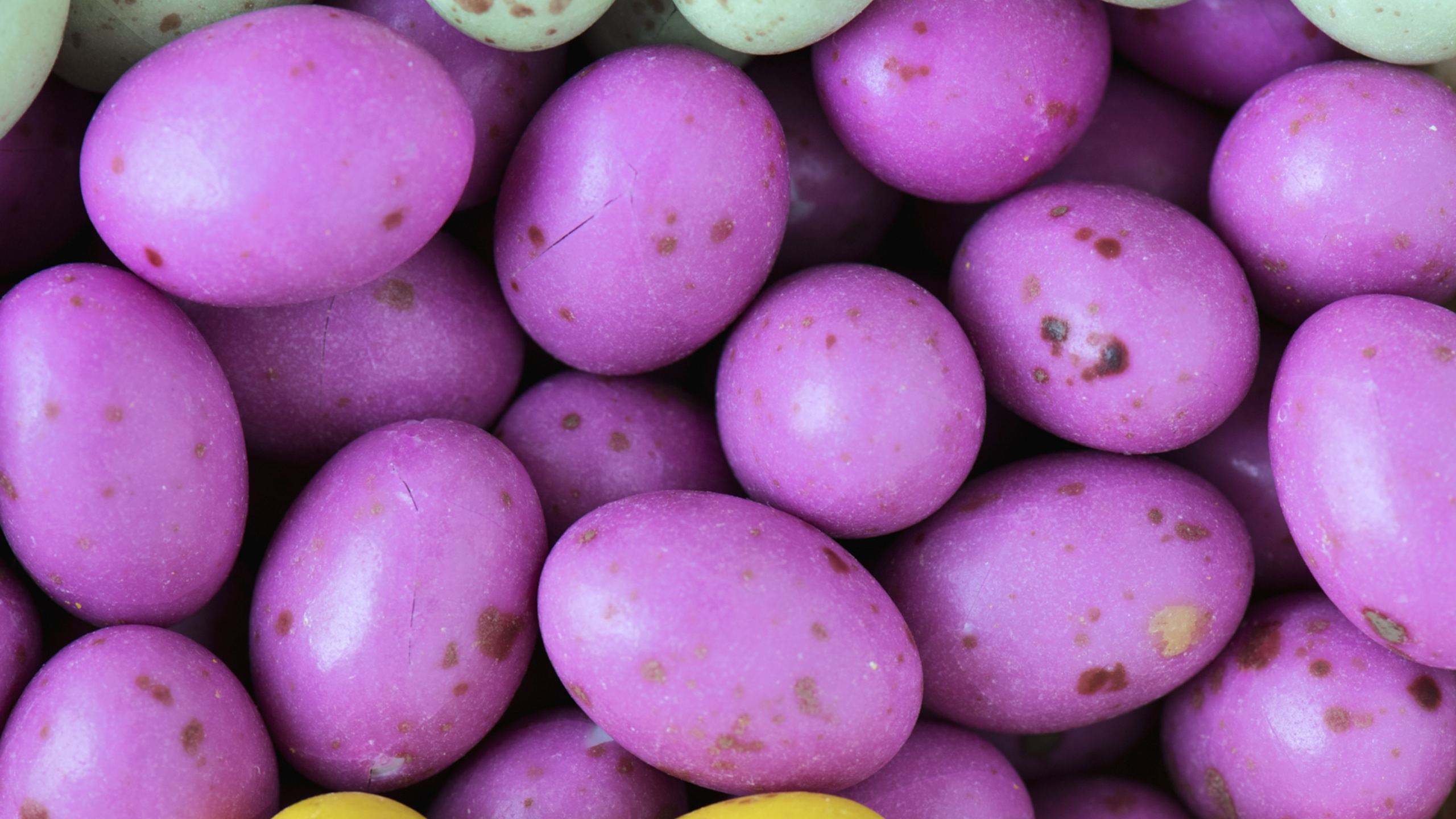 Yellow and Purple Round Fruits. Wallpaper in 2560x1440 Resolution