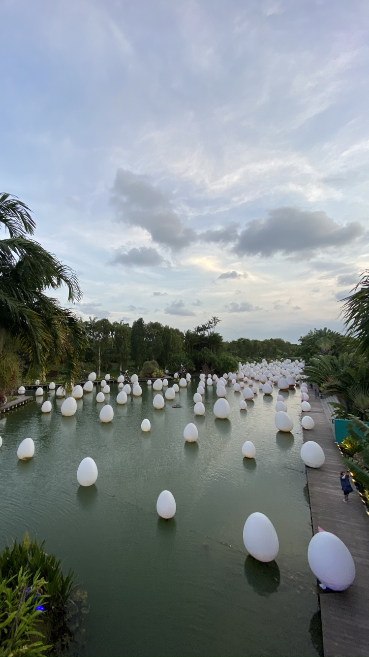 人体内的水, 水资源, 银行, 水道, 储存器 壁纸 750x1334 允许