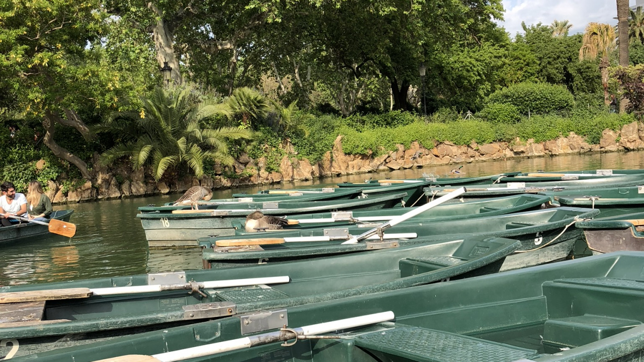 Reflection, Body of Water, Watercraft, Waterway, Plant Community. Wallpaper in 1280x720 Resolution