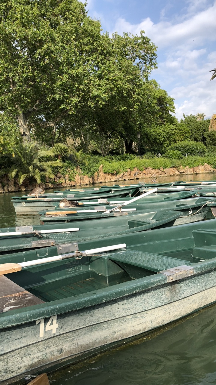Reflection, Body of Water, Watercraft, Waterway, Plant Community. Wallpaper in 720x1280 Resolution