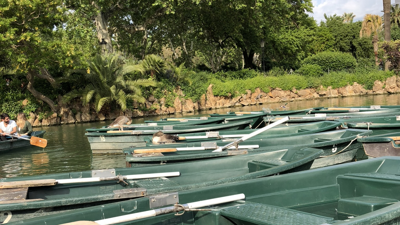 Reflexión, Cuerpo de Agua, Moto de Agua, la Vía Navegable, la Comunidad Vegetal. Wallpaper in 1366x768 Resolution