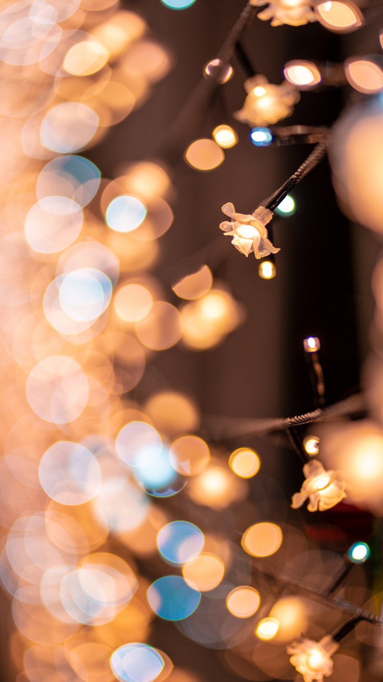 Light, Lighting, Tree, Christmas, Interior Design. Wallpaper in 750x1334 Resolution