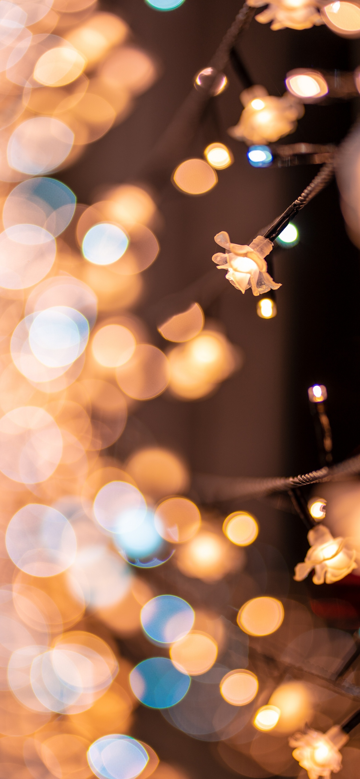 Luz, Navidad, Diseño de Interiores, Mano, Interieur. Wallpaper in 1242x2688 Resolution