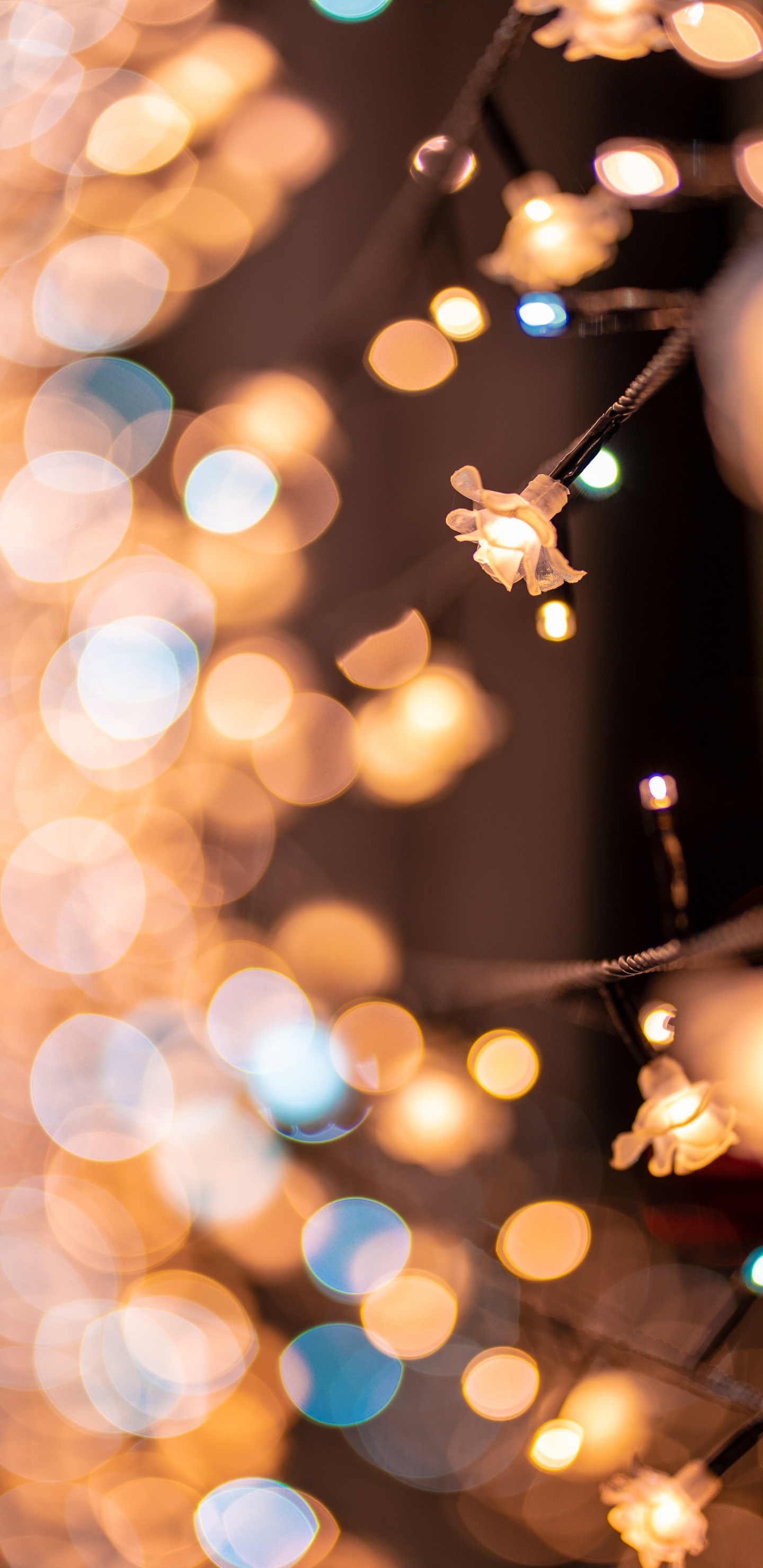 Luz, Navidad, Diseño de Interiores, Mano, Interieur. Wallpaper in 1440x2960 Resolution