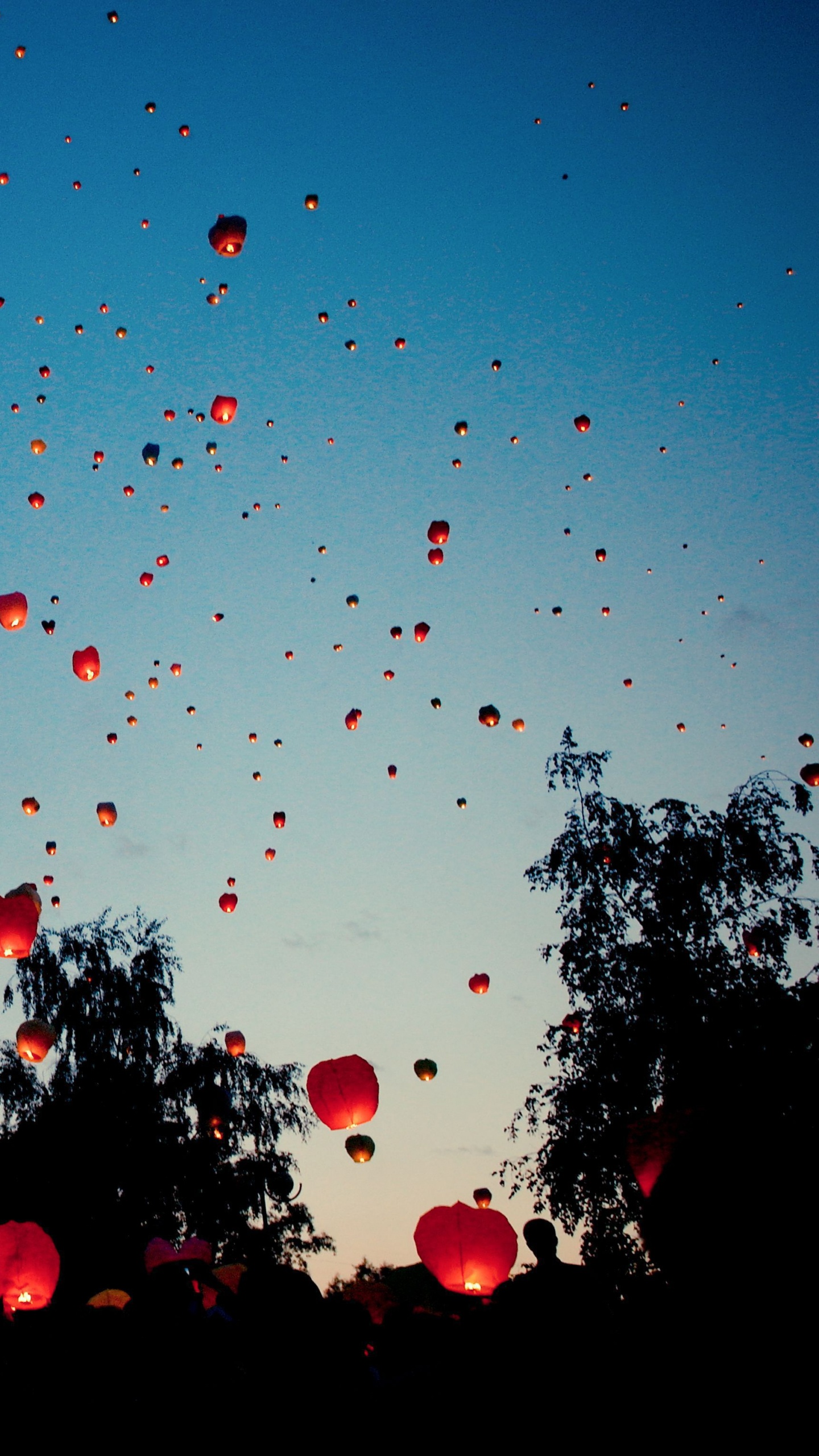 Sky Lantern, Azul, Rojo, Ambiente, Globo de Aire Caliente. Wallpaper in 1440x2560 Resolution