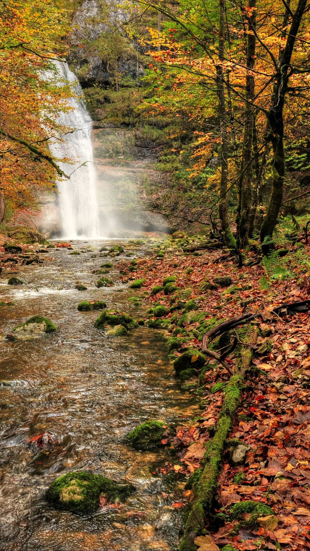 Wasser Fällt Mitten in Den Wald. Wallpaper in 1080x1920 Resolution