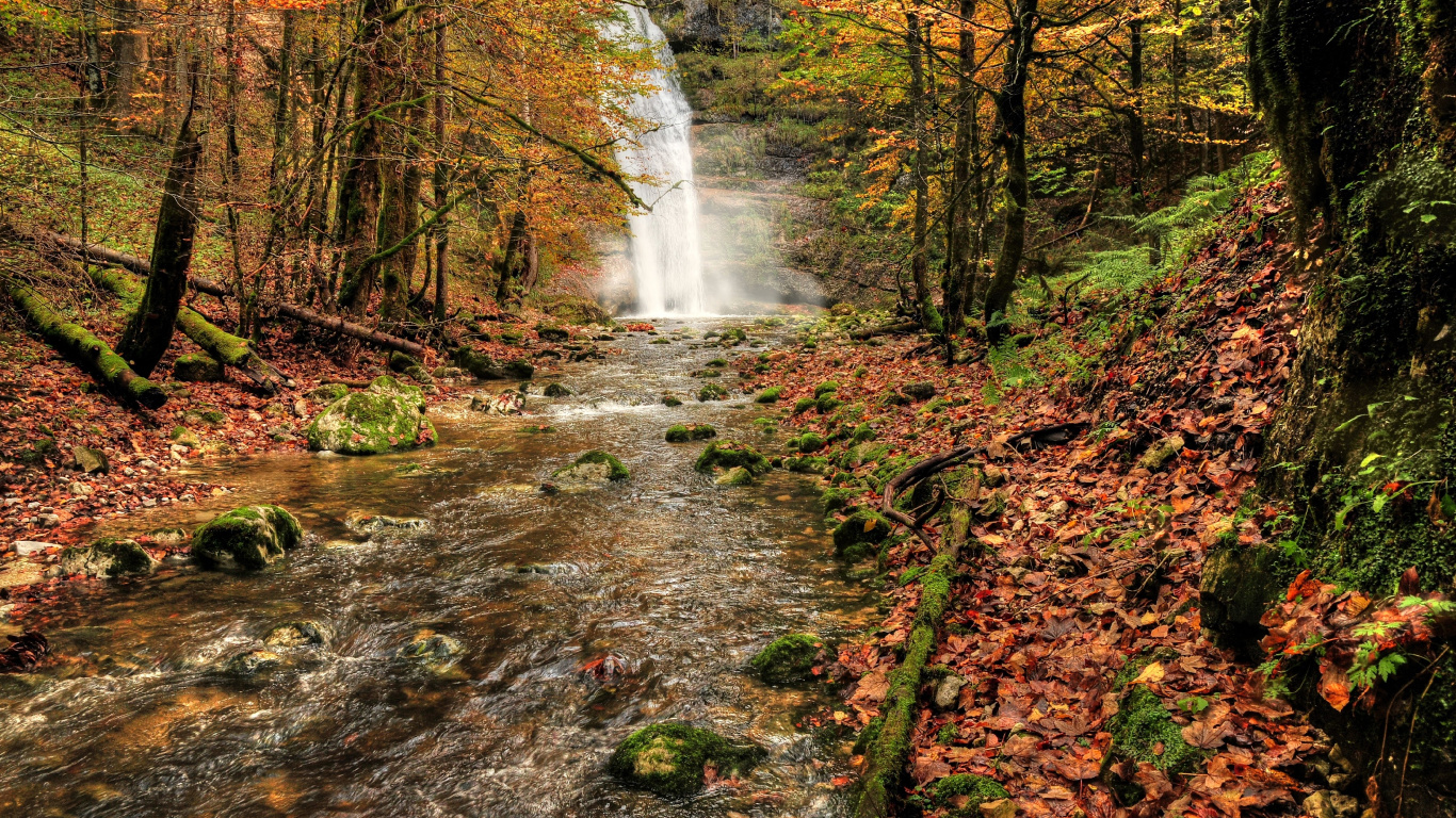 Water Falls in The Middle of The Forest. Wallpaper in 1366x768 Resolution