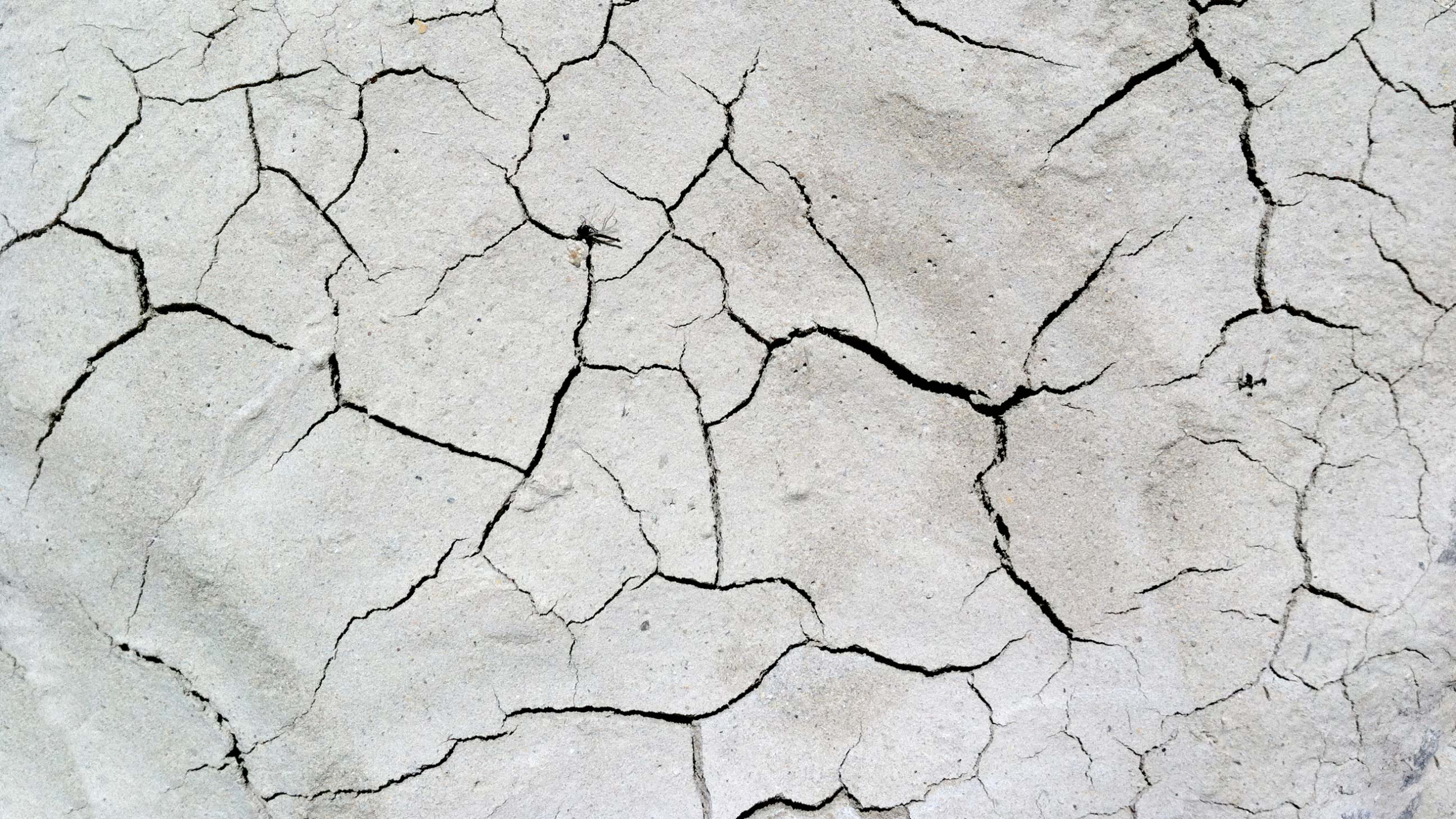 White and Gray Concrete Floor. Wallpaper in 2560x1440 Resolution