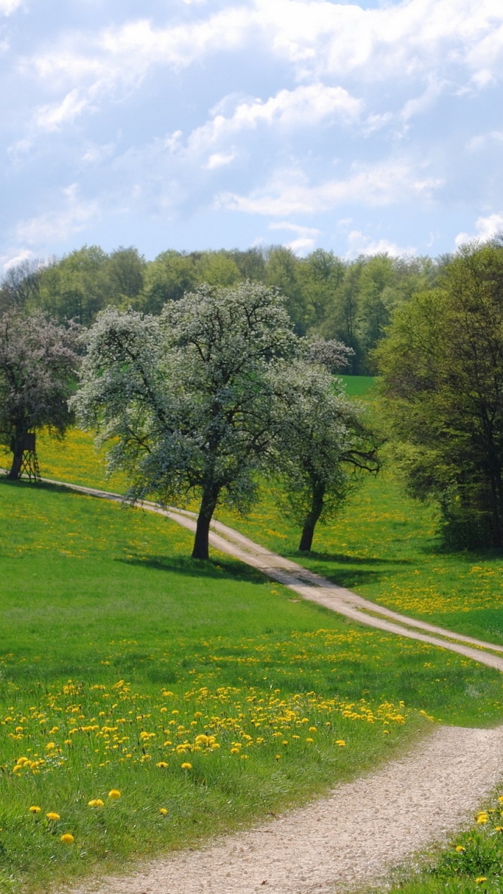 Campo de Hierba Verde y Árboles Bajo un Cielo Azul Durante el Día. Wallpaper in 720x1280 Resolution