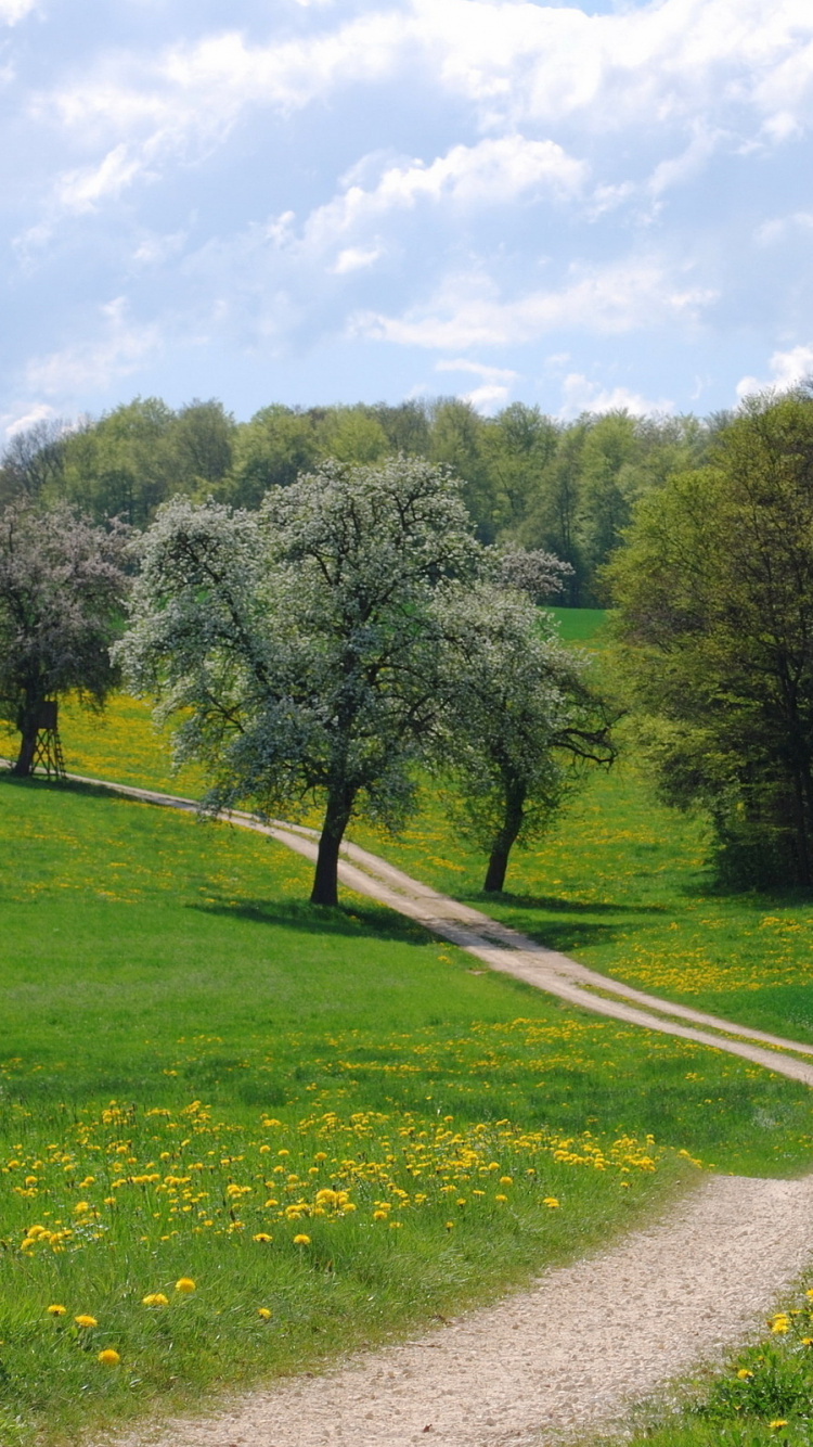 Campo de Hierba Verde y Árboles Bajo un Cielo Azul Durante el Día. Wallpaper in 750x1334 Resolution