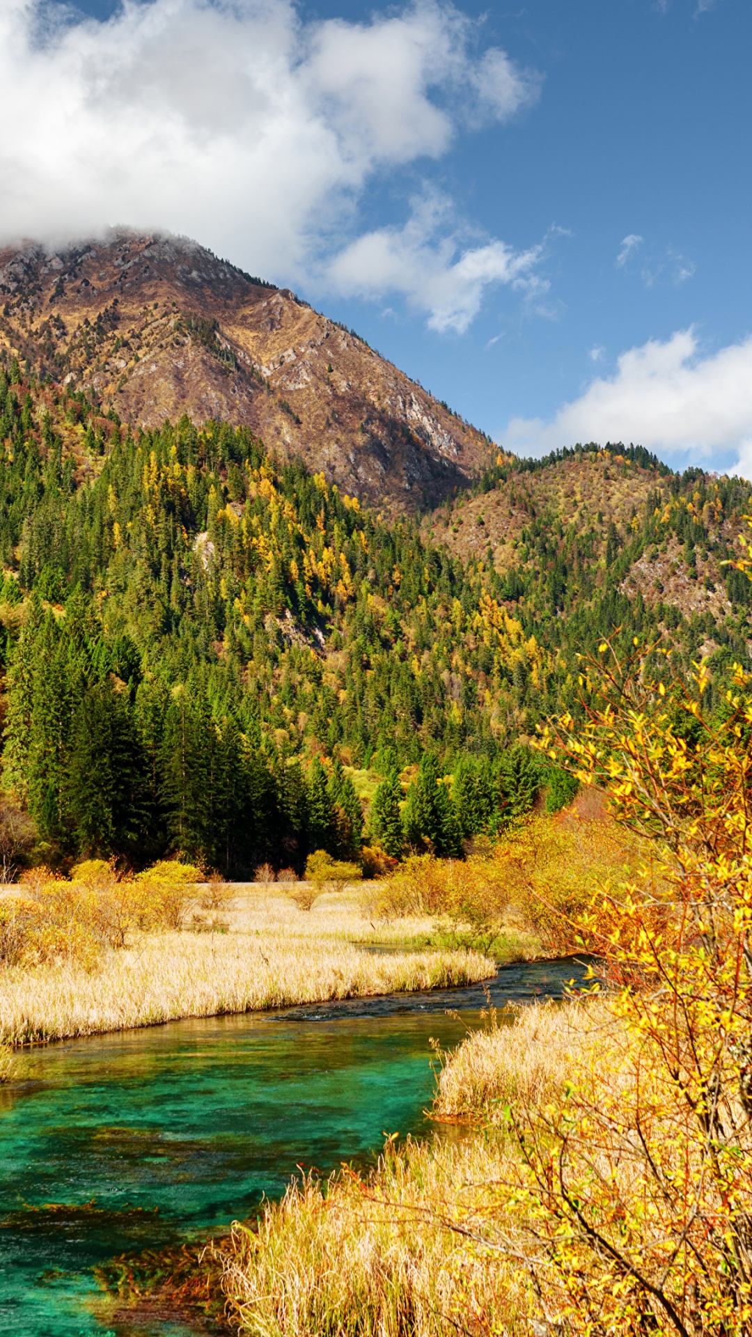 Green Trees Near Lake Under Blue Sky During Daytime. Wallpaper in 1080x1920 Resolution