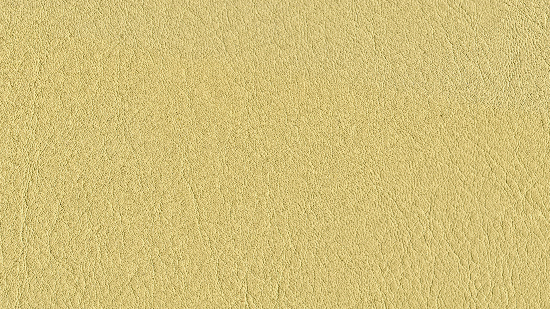 Pintura de Pared Blanca Con Pintura Blanca. Wallpaper in 1920x1080 Resolution