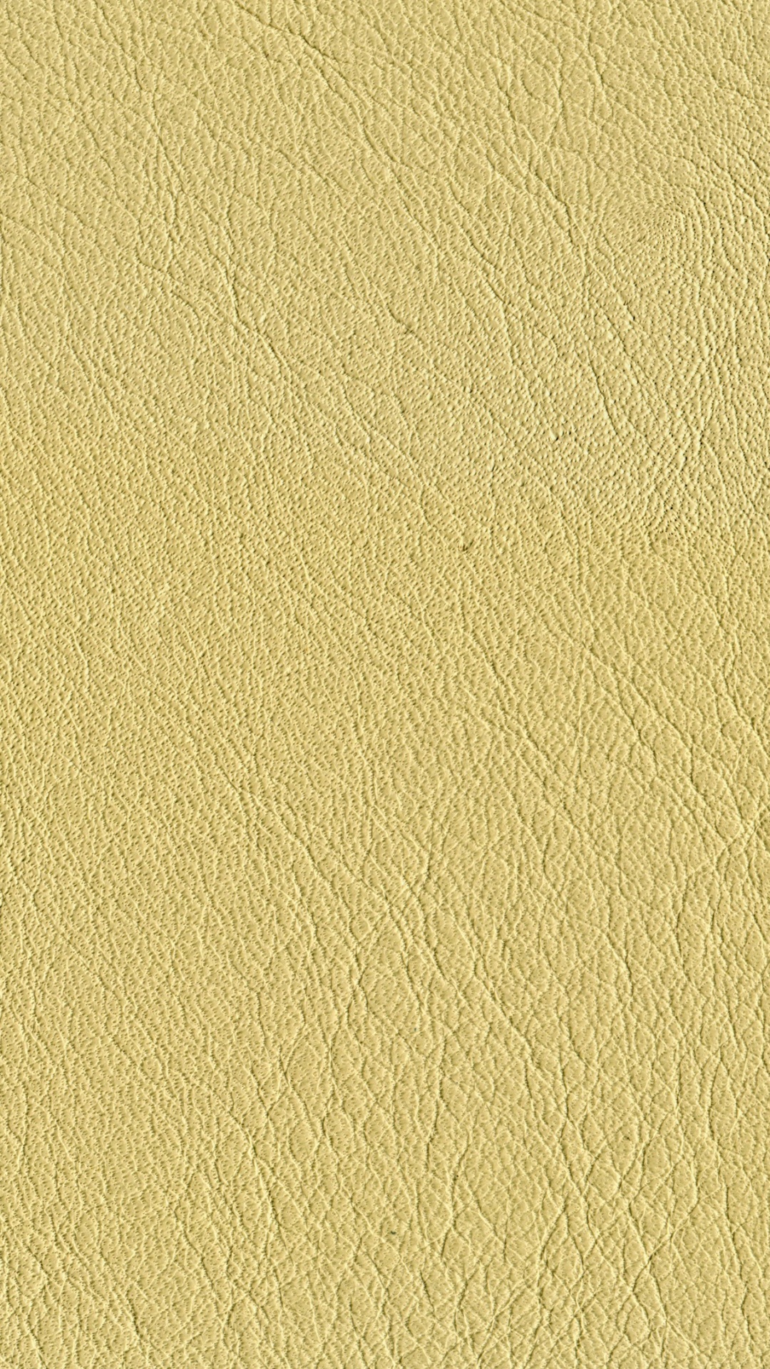 White Wall Paint With White Paint. Wallpaper in 1080x1920 Resolution