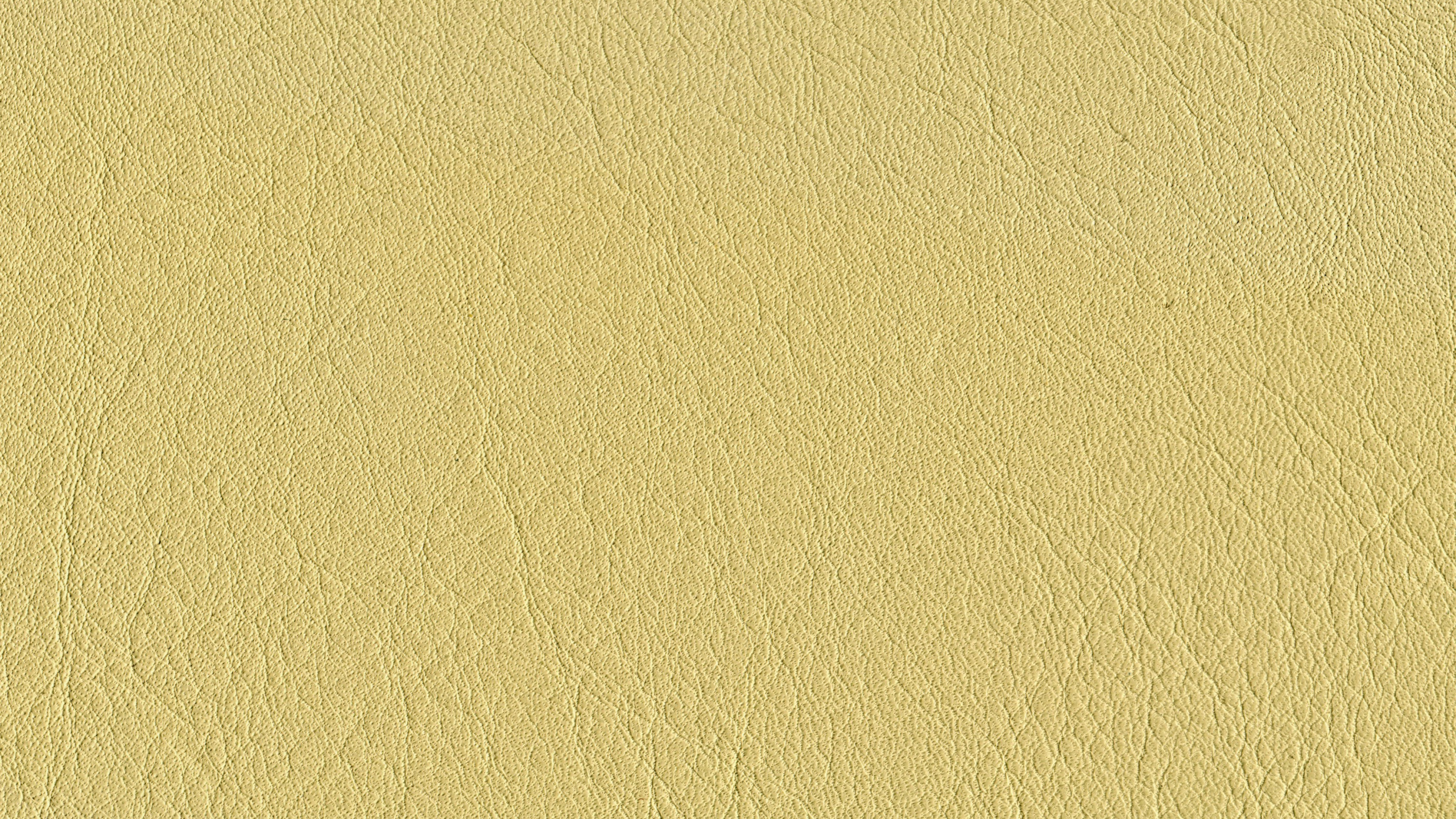 White Wall Paint With White Paint. Wallpaper in 2560x1440 Resolution